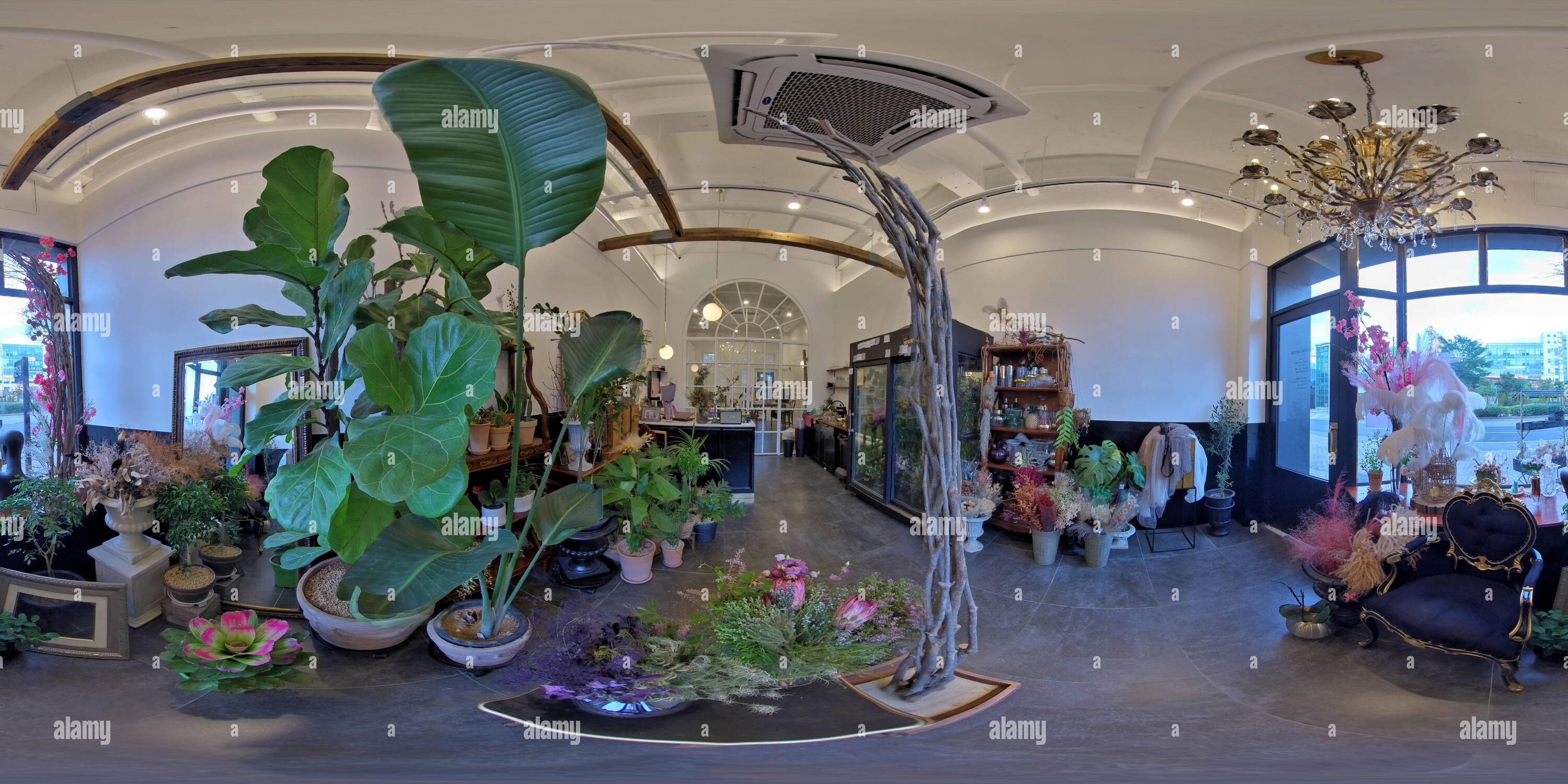 360 Grad Panorama Ansicht von ANSAN SOUTH KOREA 4. JULI, 2019: Vollständige nahtlose Panorama 360° Winkel, mit Blick in den Innenraum des Shop. Restaurant, Florist, Billardzimmer. skybox VR-cont