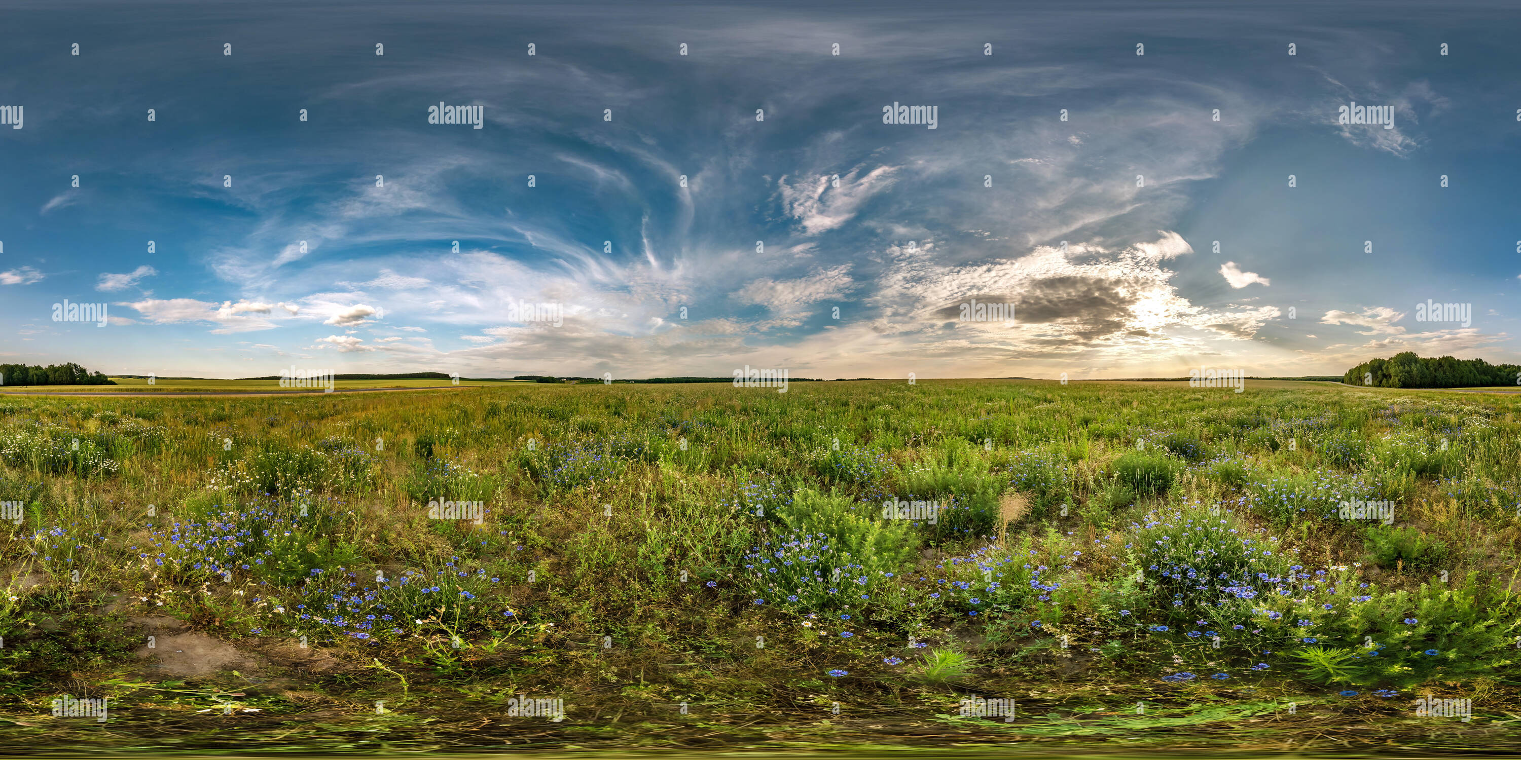 360 °Ansicht auf Vollständige nahtlose sphärischen hdri Panorama 360