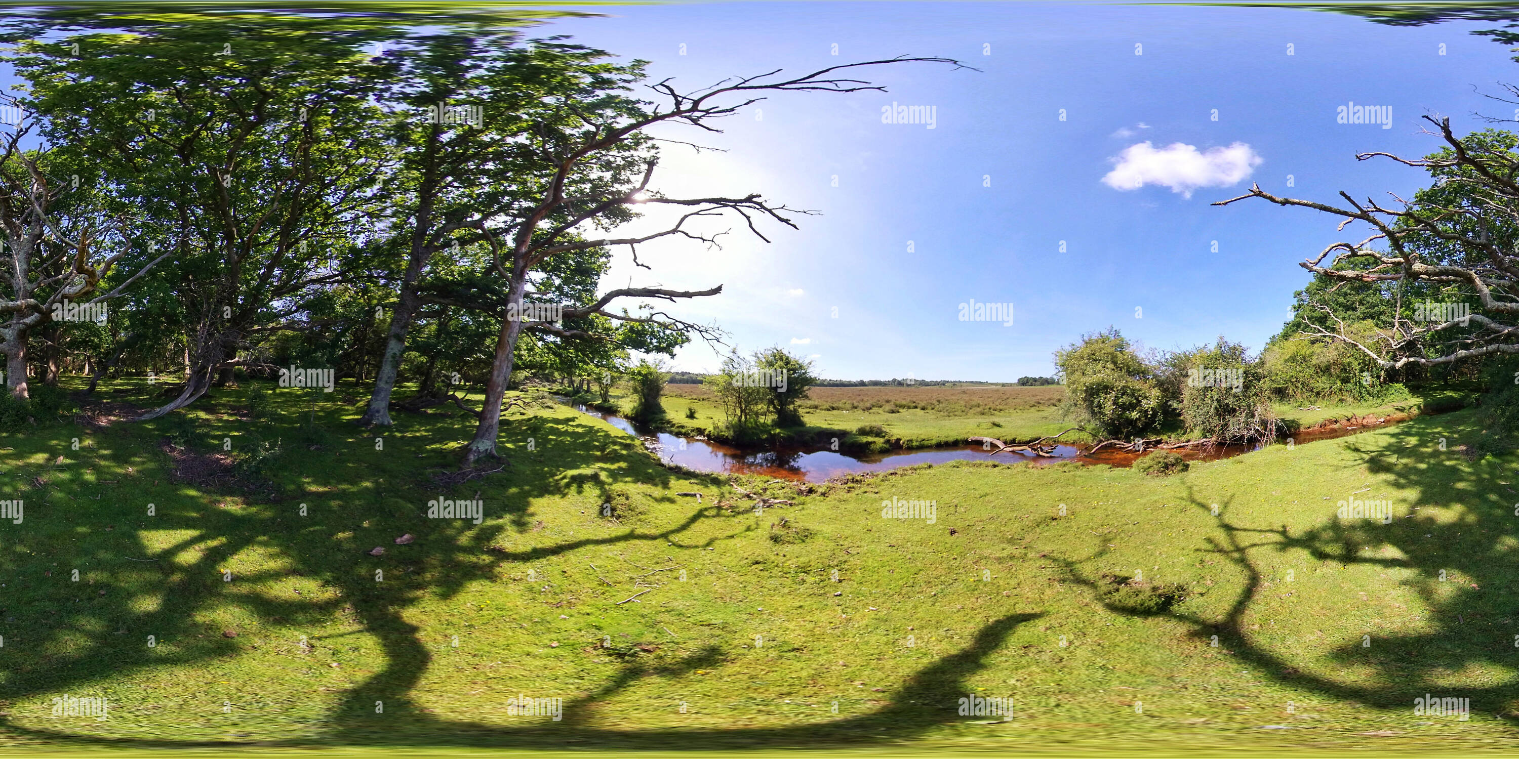 Vista panorámica en 360 grados de Mill Lawn Brook New Forest Stream (360VR)