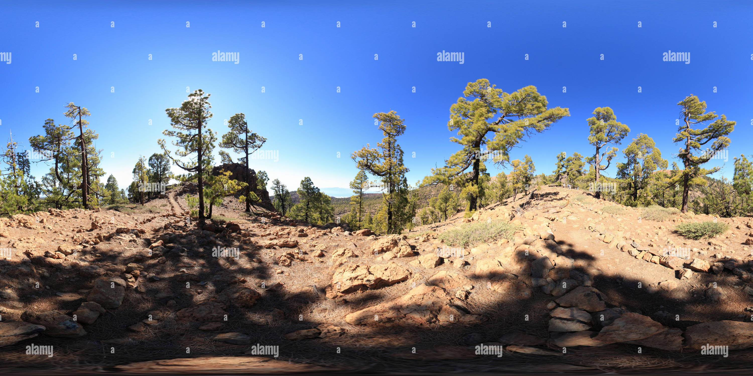Vista panorámica en 360 grados de Vilaflor a Caldera árboles