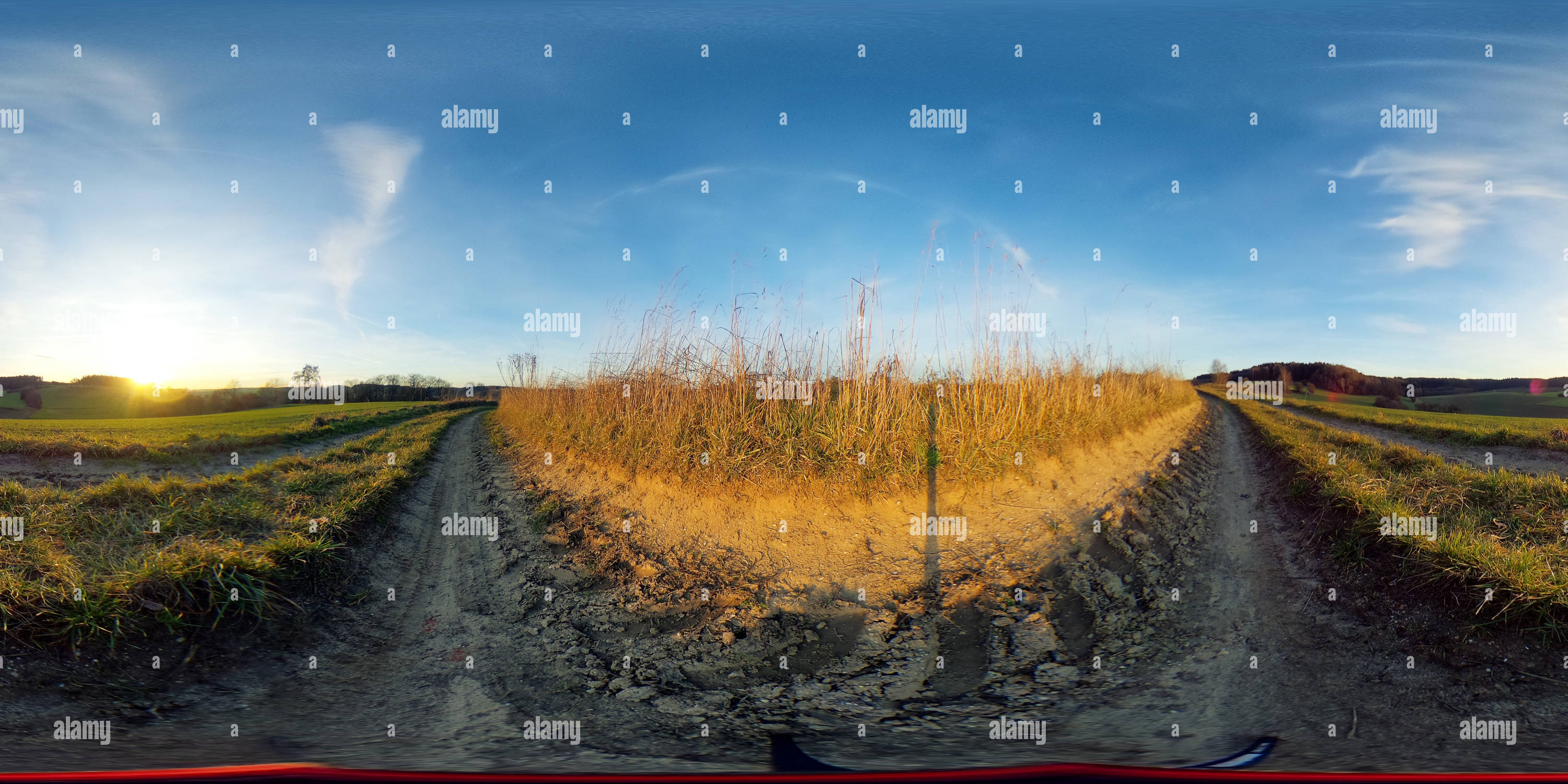 Vista panorámica en 360 grados de Theta S en el camino