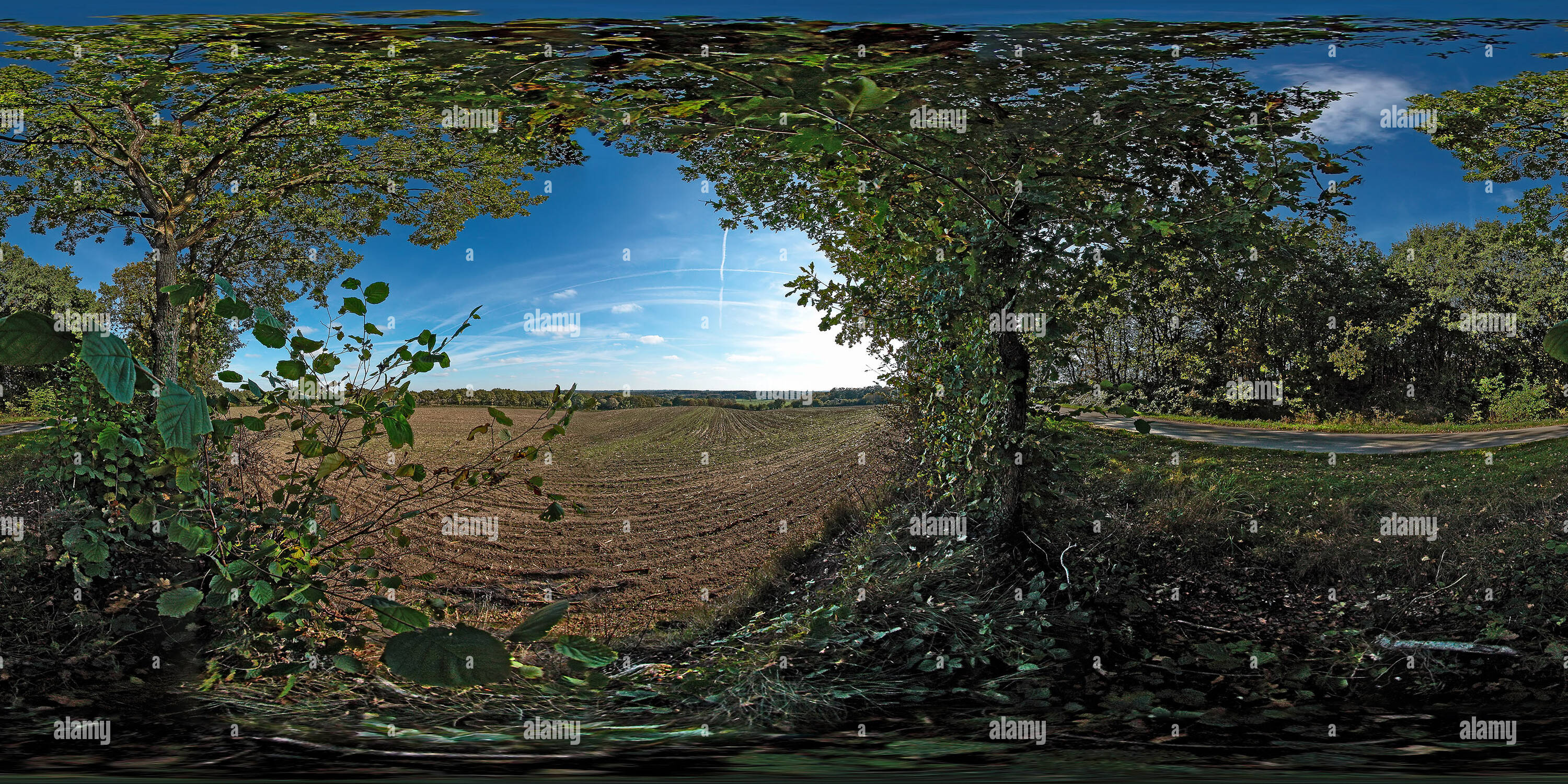 Vista panorámica en 360 grados de Dithmarschen Landschaften Hövede Blick Aus einem Knick