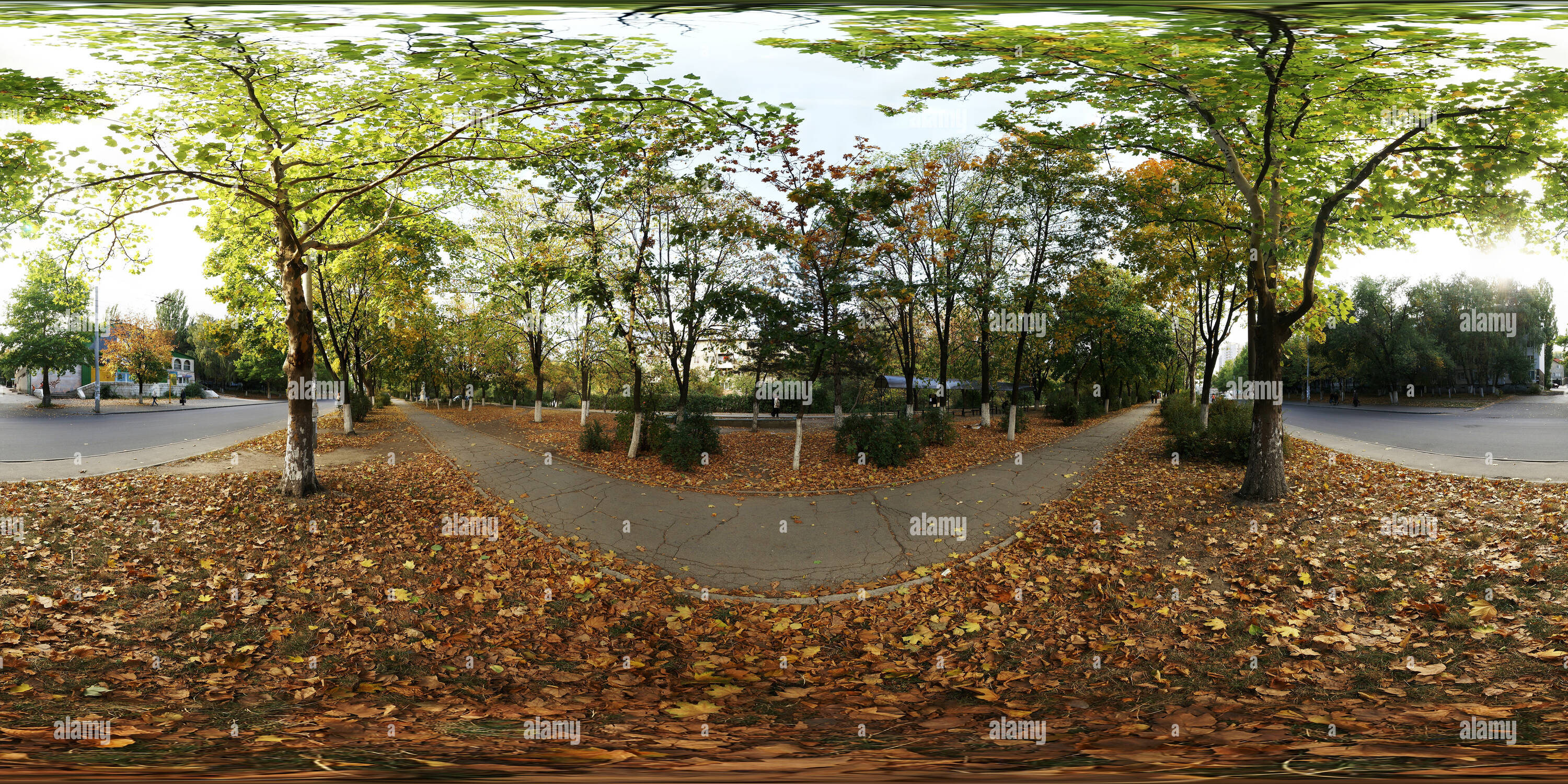 Vista panorámica en 360 grados de Botanika 2009 10 11
