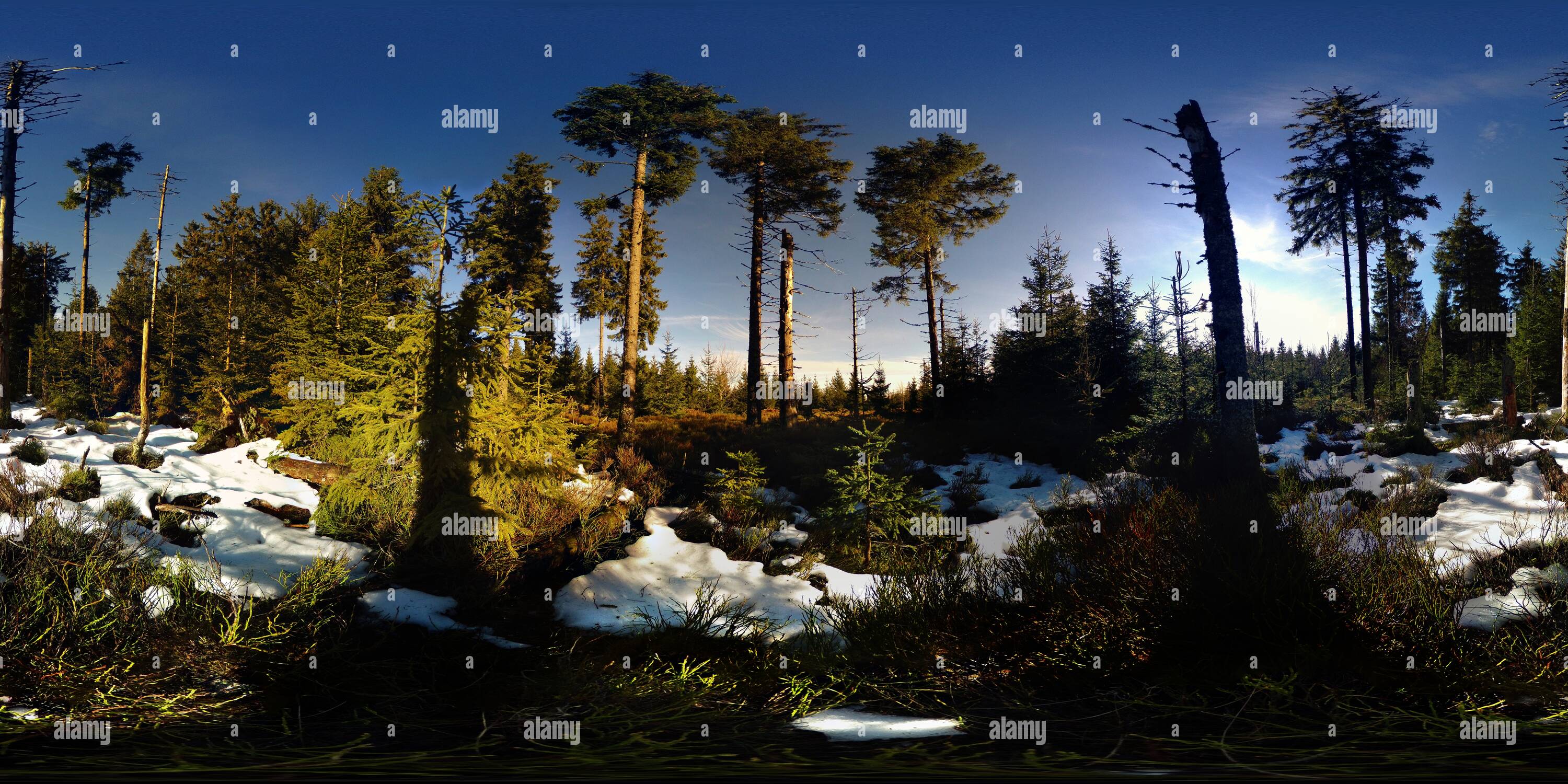 Vista panorámica en 360 grados de Norte de la Selva Negra Highmoor