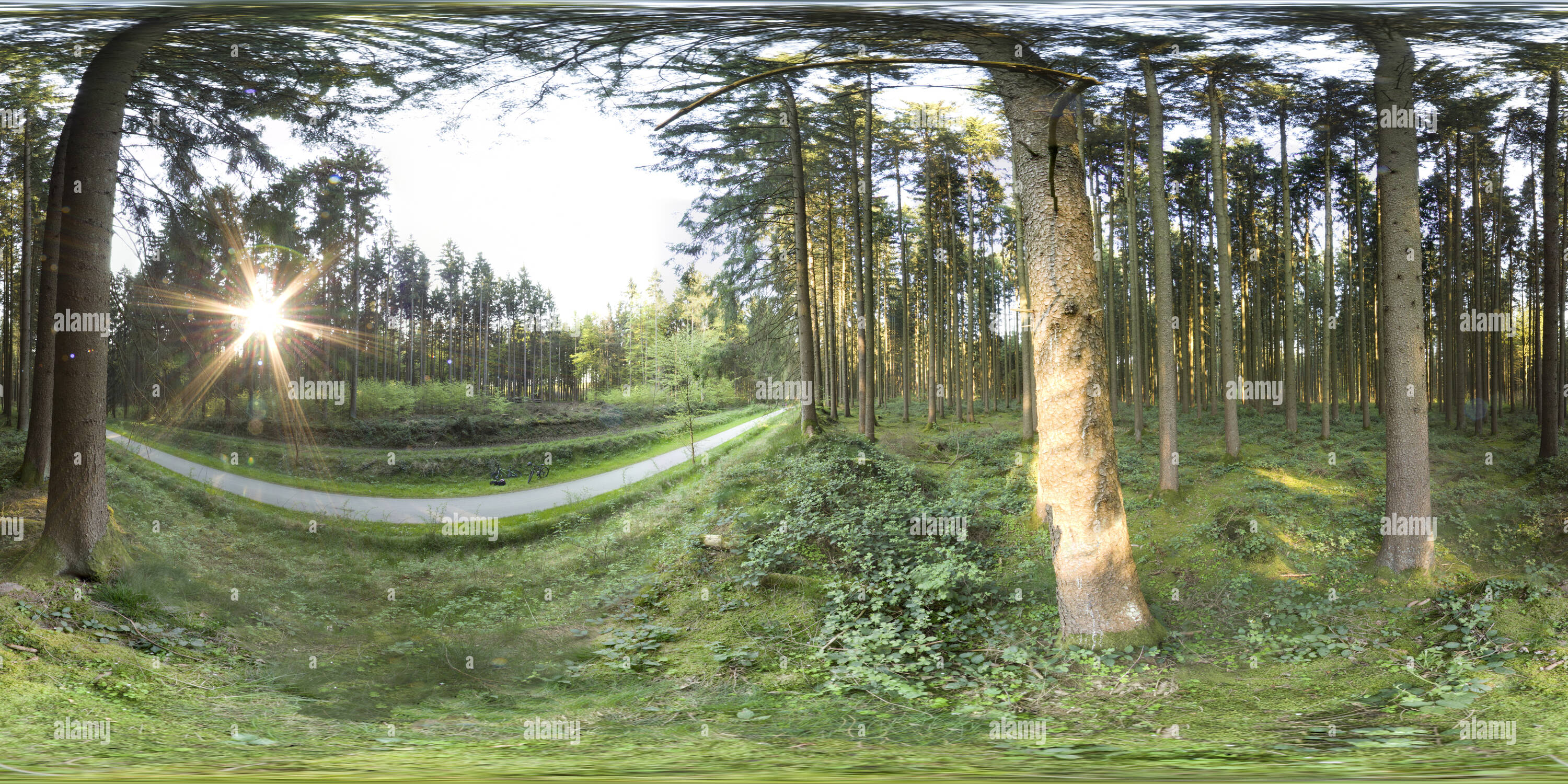 Vista panorámica en 360 grados de 4 Radweg