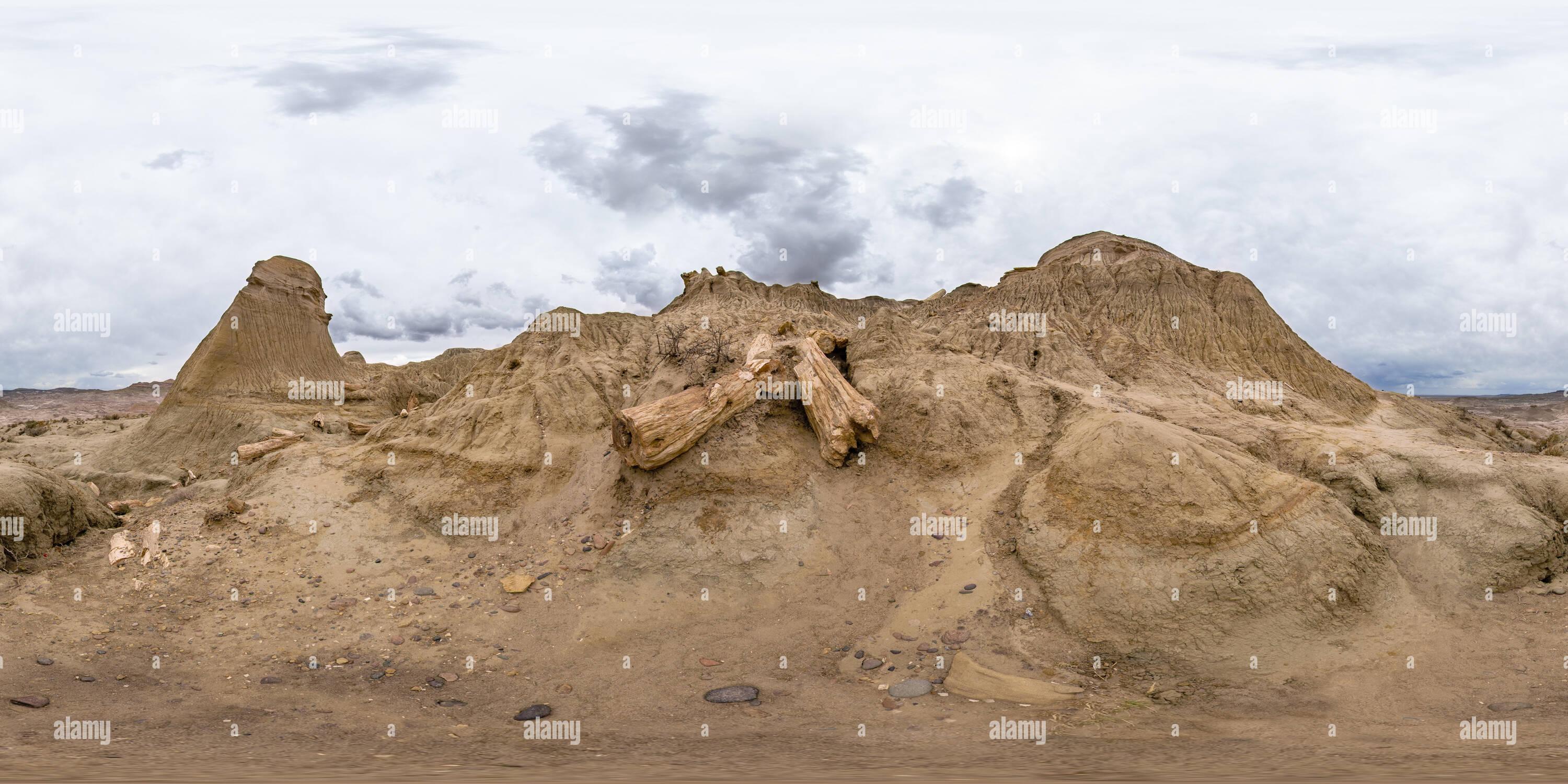 Bosque petrificado monumento nacional paisaje fotografías e imágenes de