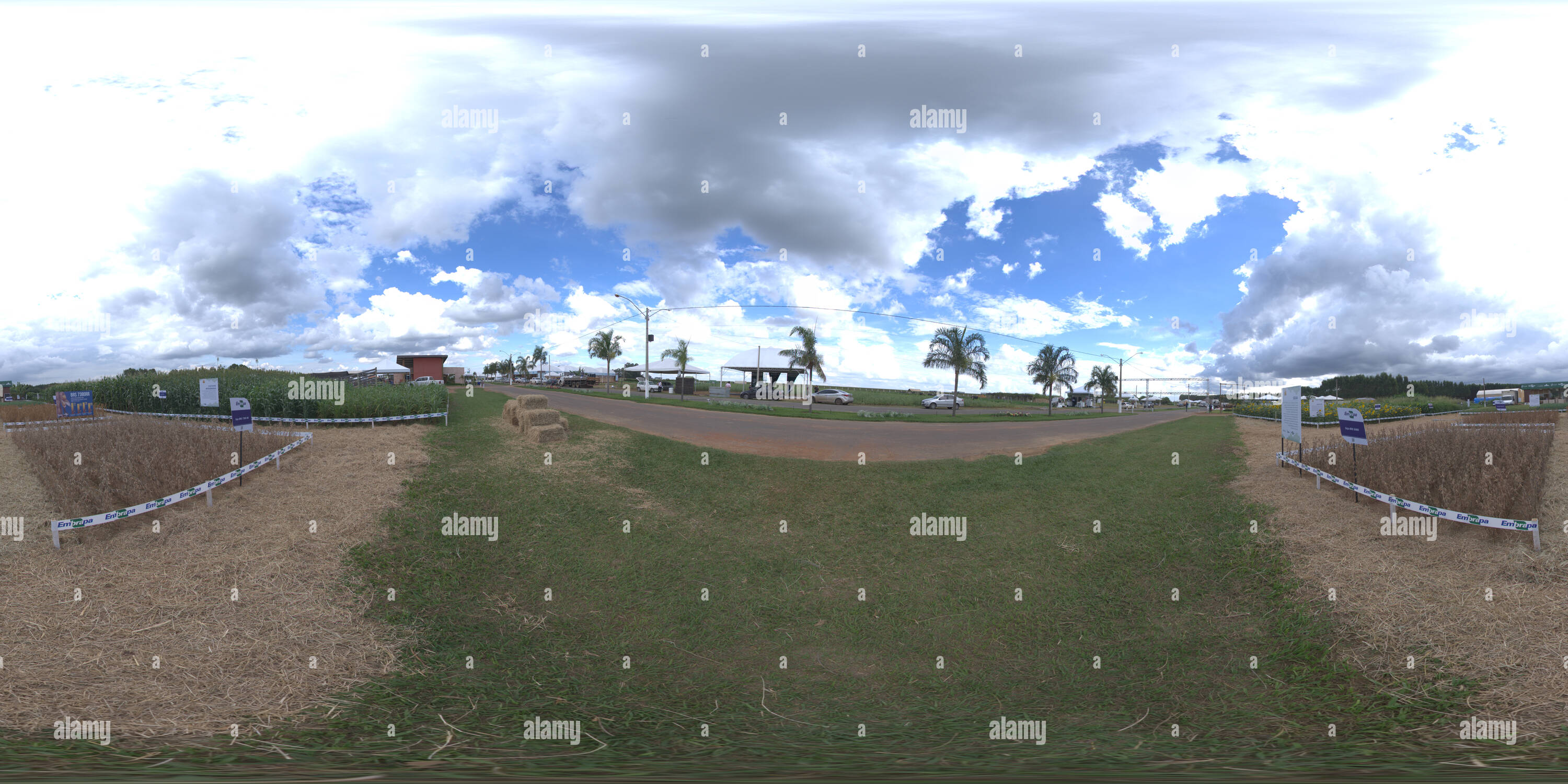 Vista panorámica en 360 grados de Novas cultivares de soja para o Cerrado