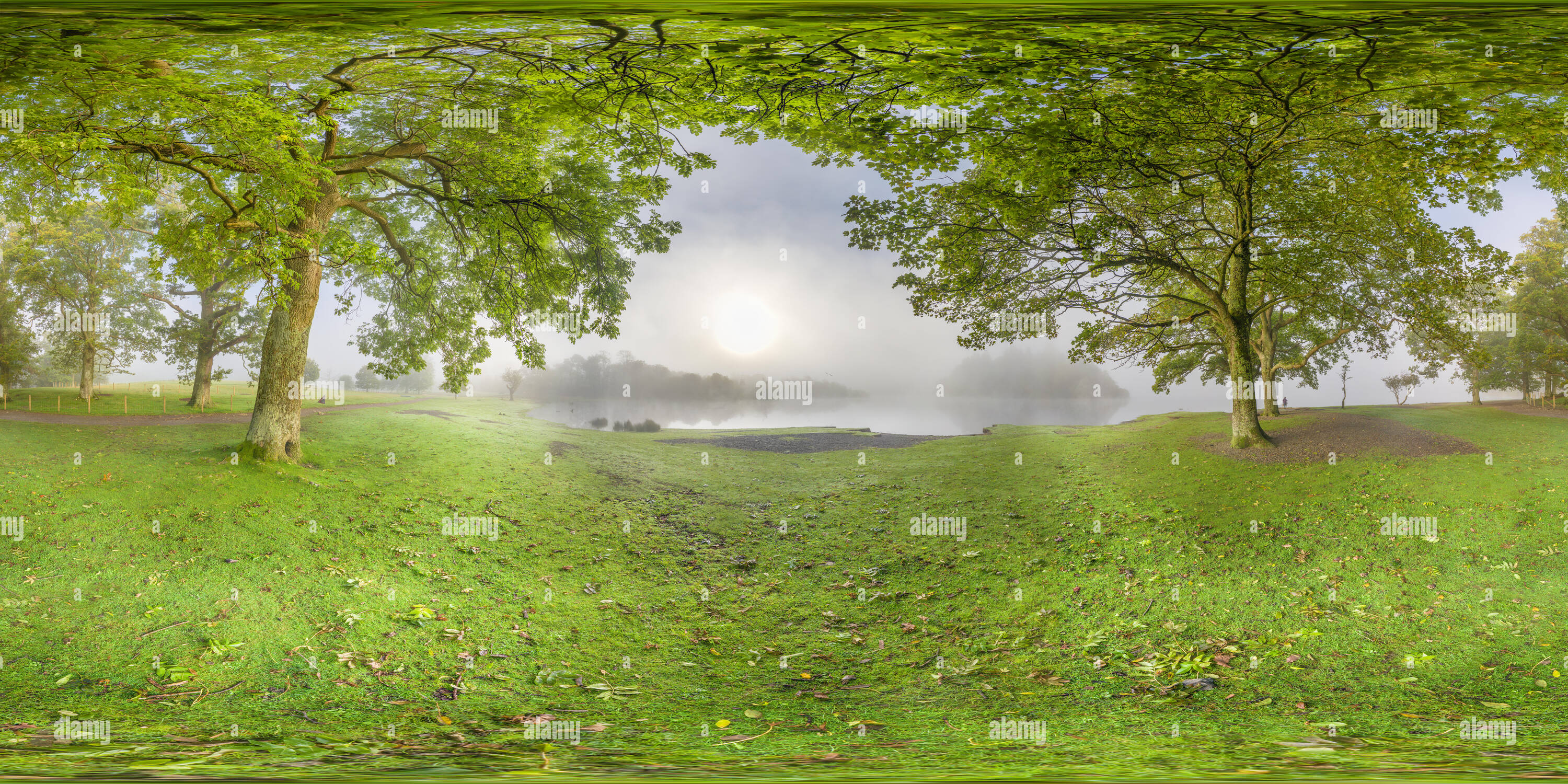 Vue panoramique à 360° de Dawn cloud commence à se dissiper comme le soleil brille à travers la brume sur un bois au lac Derwentwater, Lake District, Cumbria, Angleterre.