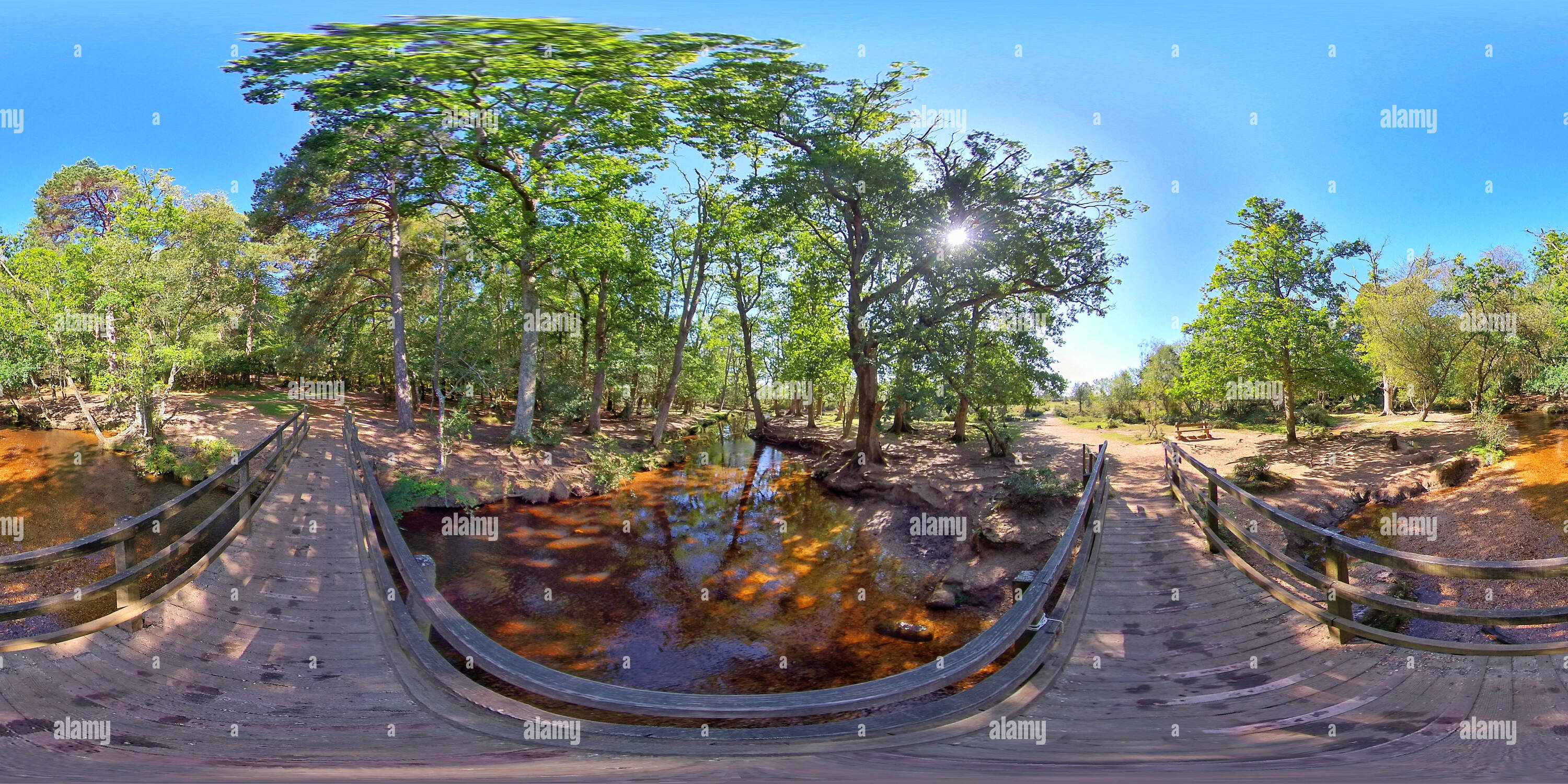 Vue panoramique à 360° de Ober Water dans le parc national de la Nouvelle forêt (360VR)