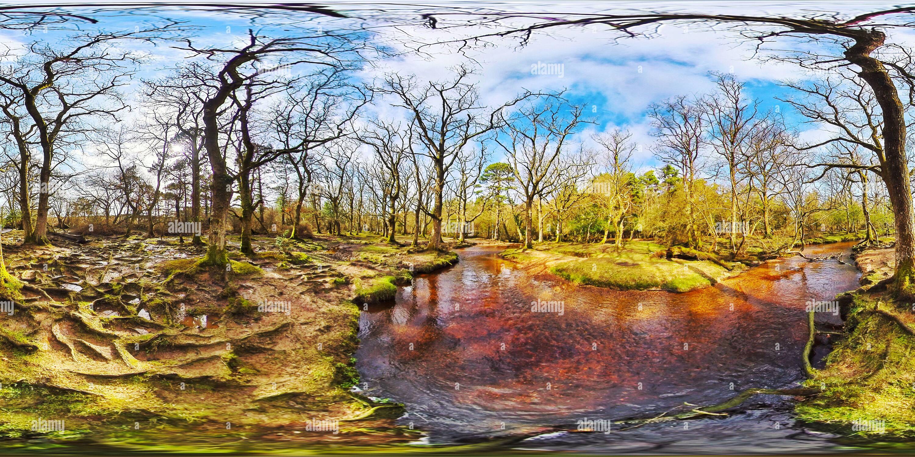 Vue panoramique à 360° de Ruisseau d'hiver dans la nouvelle forêt (360VR)