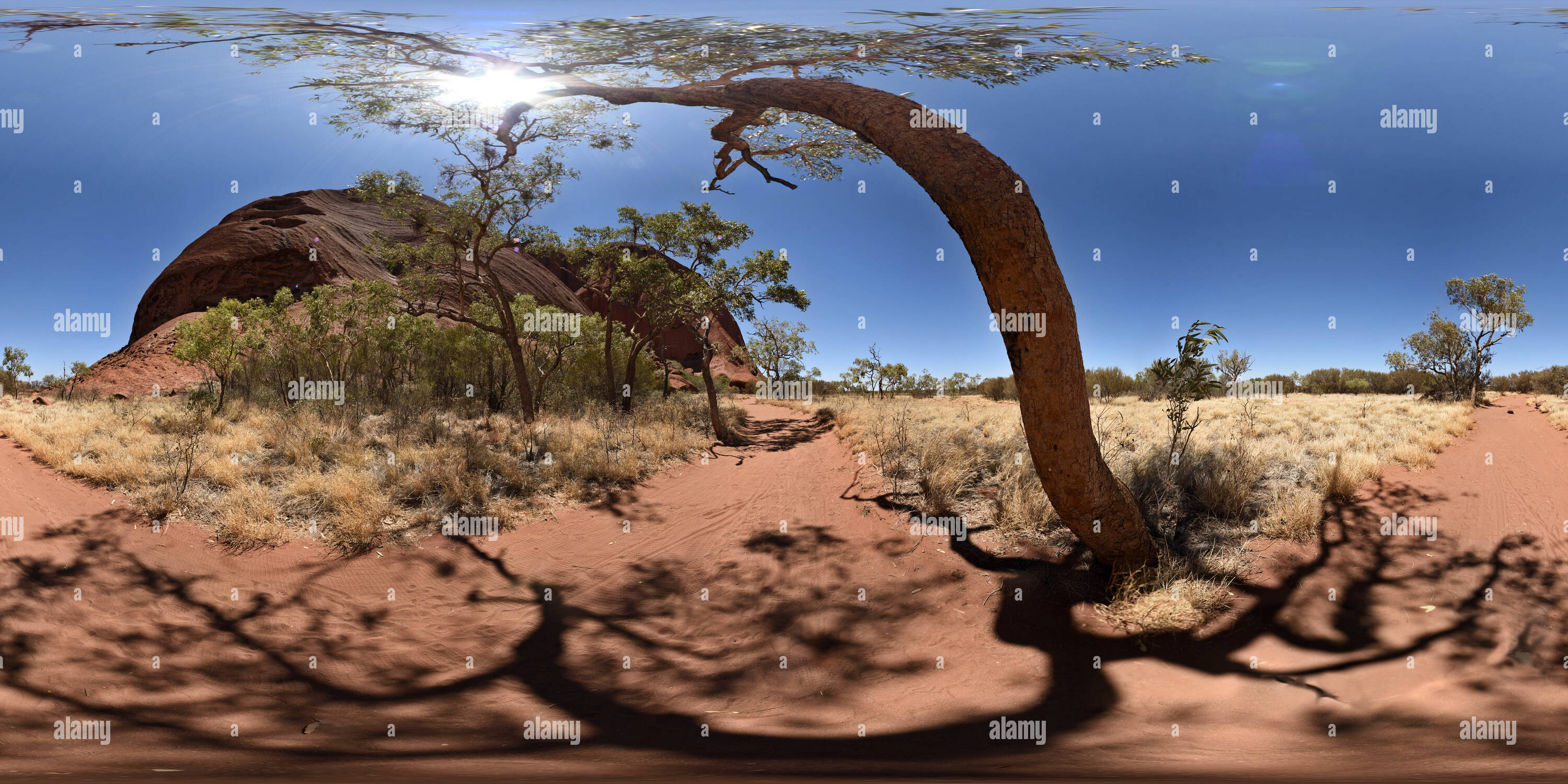 Vue panoramique à 360° de Kuniya Walk Uluru, Territoire Du Nord, Outback Australie.