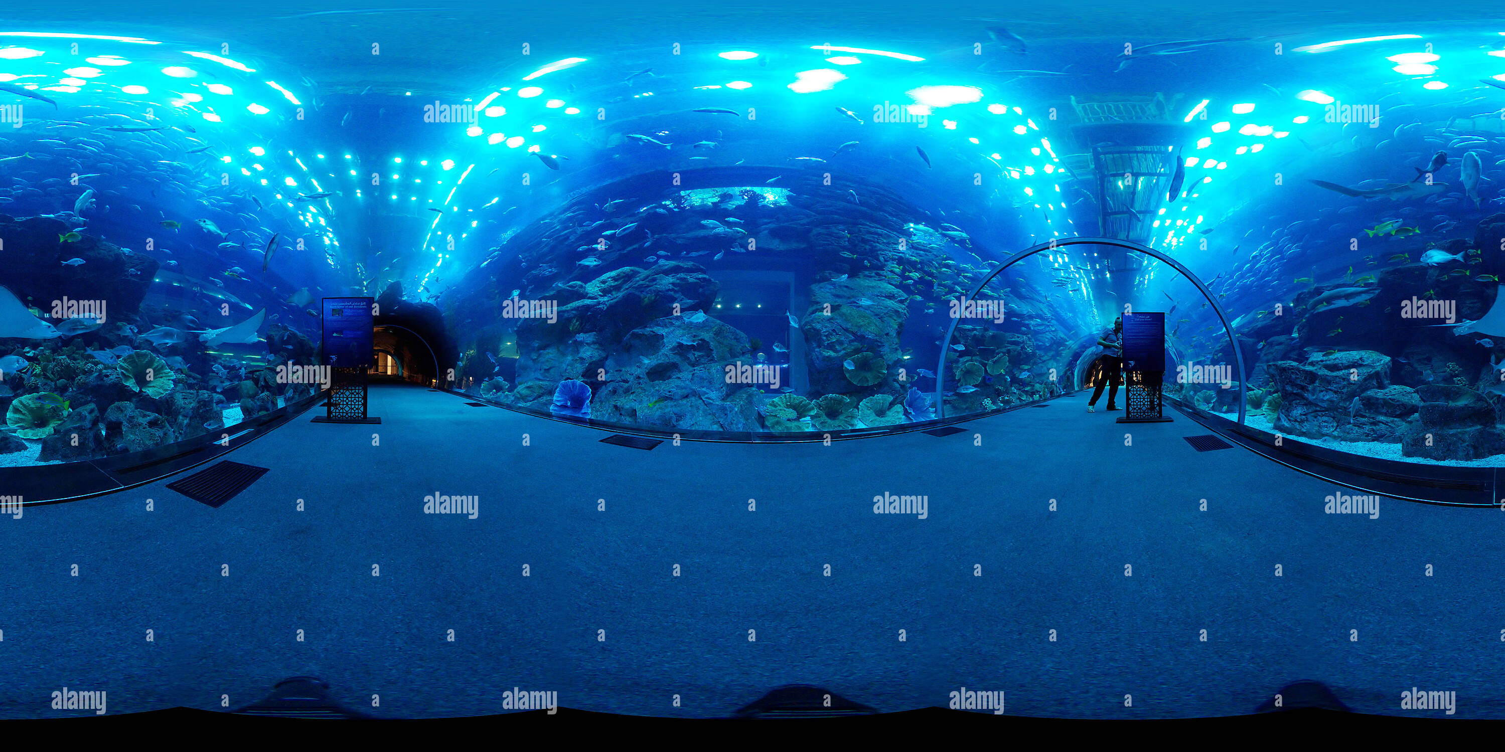 Vue panoramique à 360° de Tunnel de l'Aquarium de Dubaï