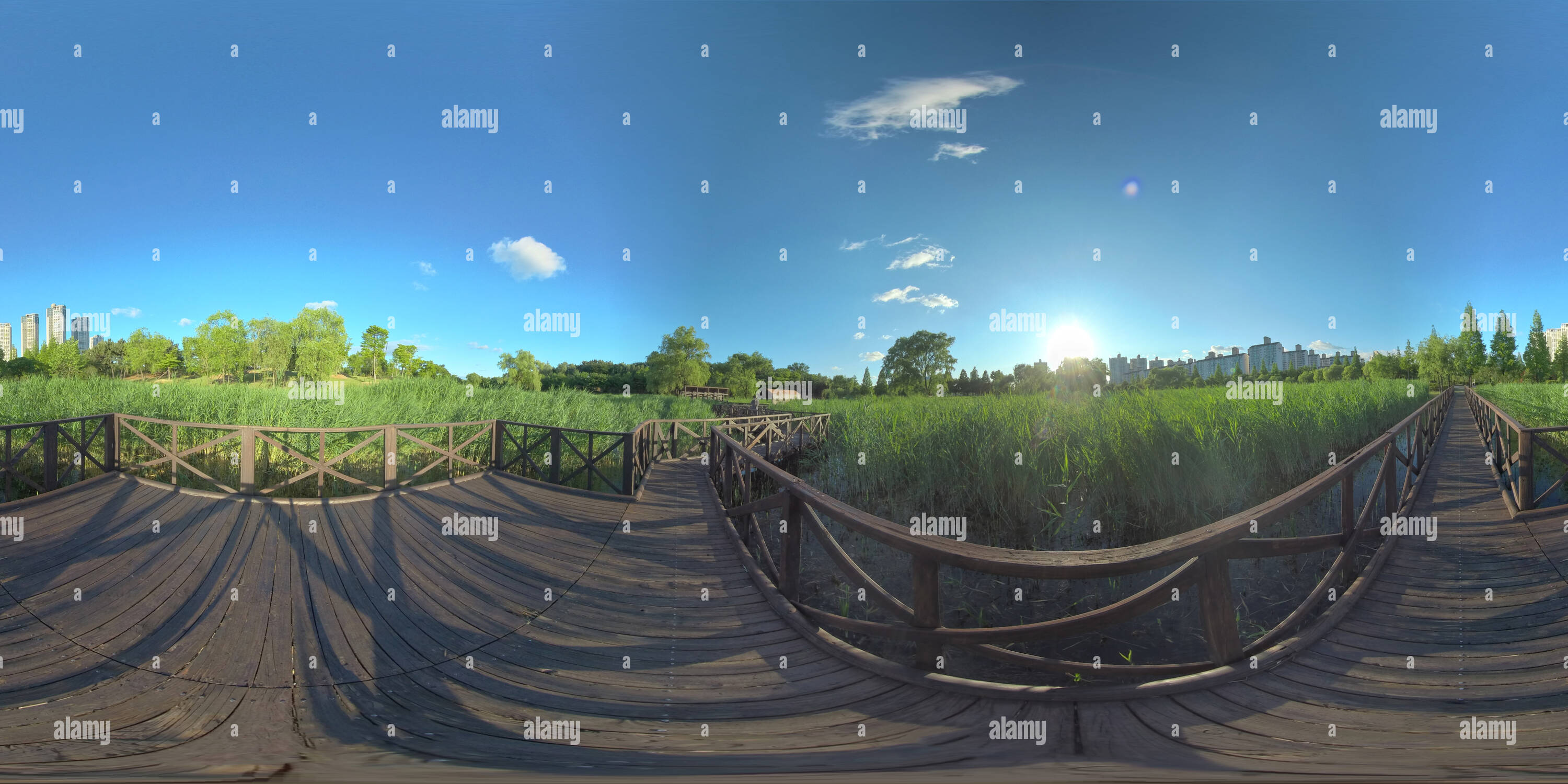 Vue panoramique à 360° de Forêt et parc à Ansan