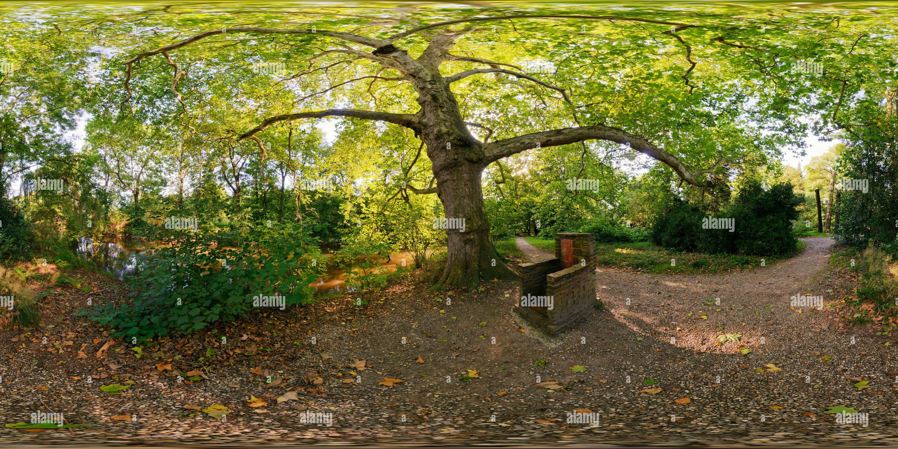 Vue panoramique à 360° de Neuss, NRW, Allemagne, Insel Hombroich: 'Koenigstrohn', trône du roi