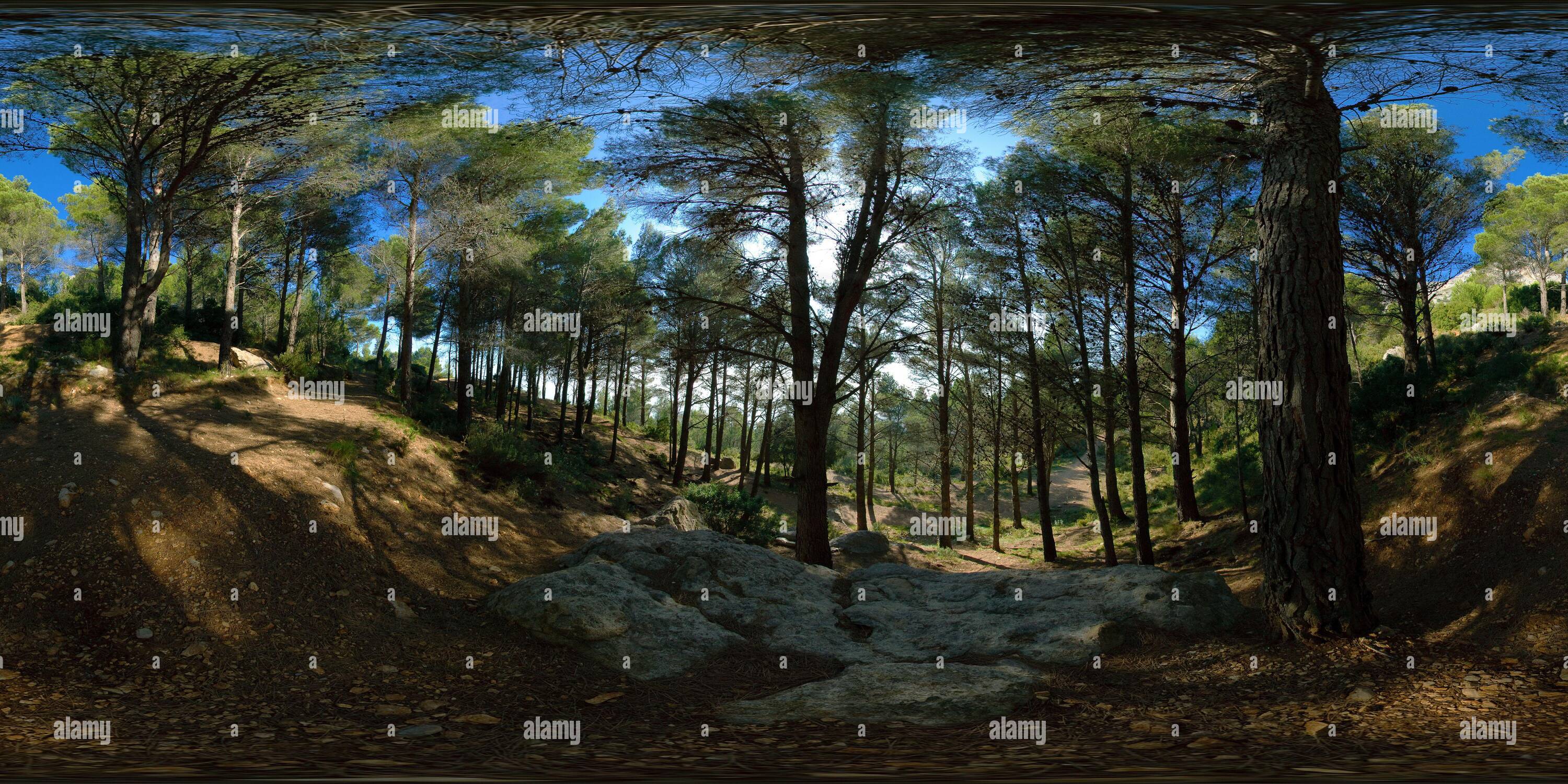 Vue panoramique à 360° de Forêt dans la sierra de Bernia près d'Altea, province d'Alicante, Communidad Valenciana, Espagne