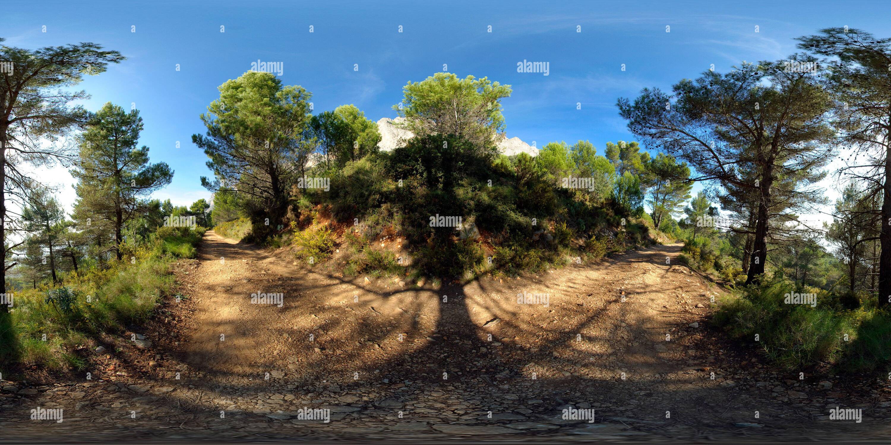 Vue panoramique à 360° de Forêt dans la sierra de Bernia près d'Altea, province d'Alicante, Communidad Valenciana, Espagne