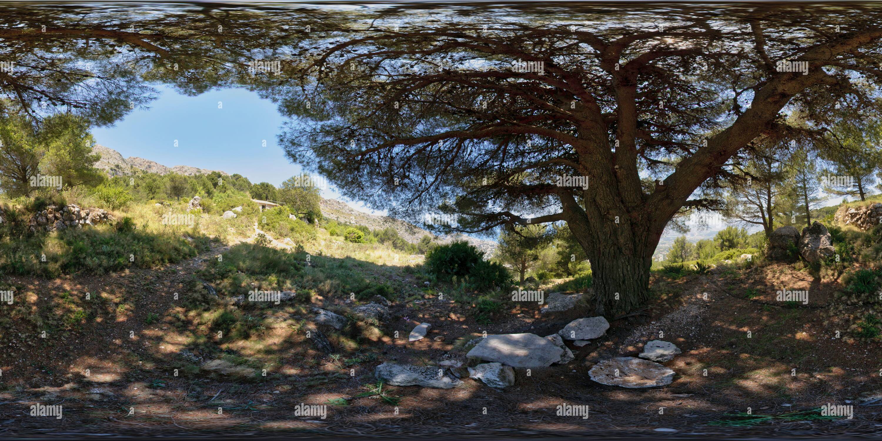 Vue panoramique à 360° de Forêt dans la sierra de Bernia près d'Altea, province d'Alicante, Communidad Valenciana, Espagne