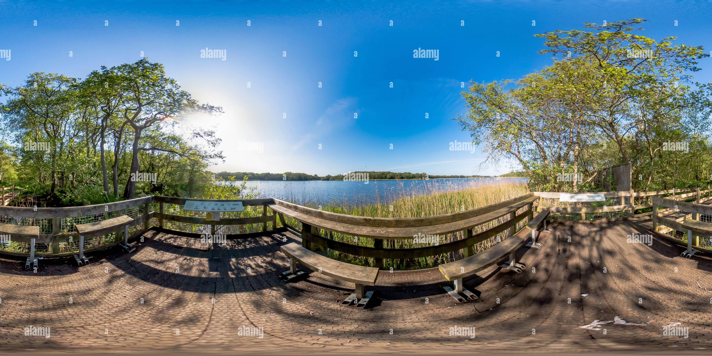 Vue panoramique à 360° de Panorama à 360 degrés sans couture et sphérique de Filby Broad, une partie des Trinity Broads, dans le parc national de Norfolk Broads. Cette image wa