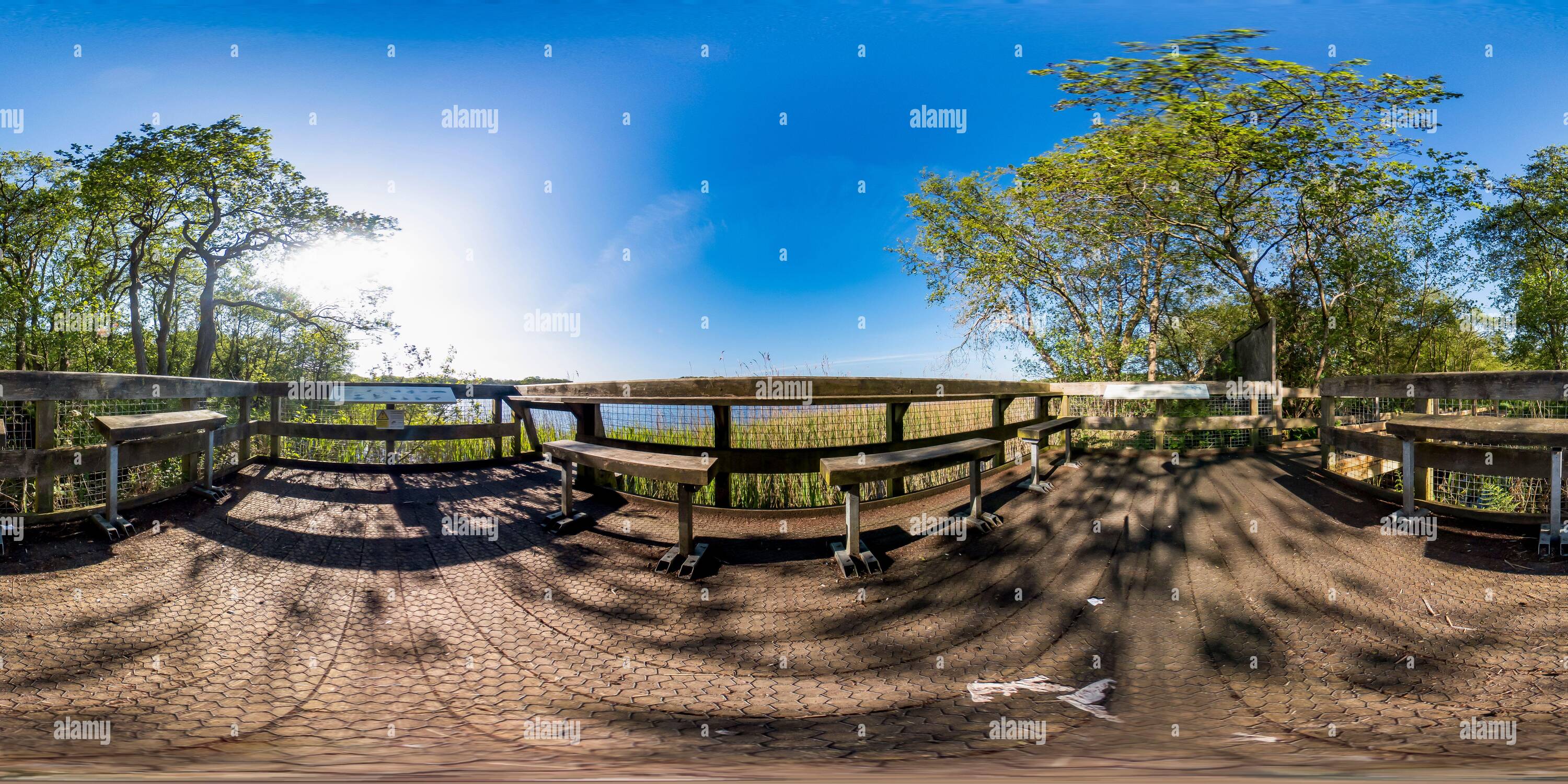 Vue panoramique à 360° de Panorama à 360 degrés sans couture et sphérique de Filby Broad, une partie des Trinity Broads, dans le parc national de Norfolk Broads. Cette image wa