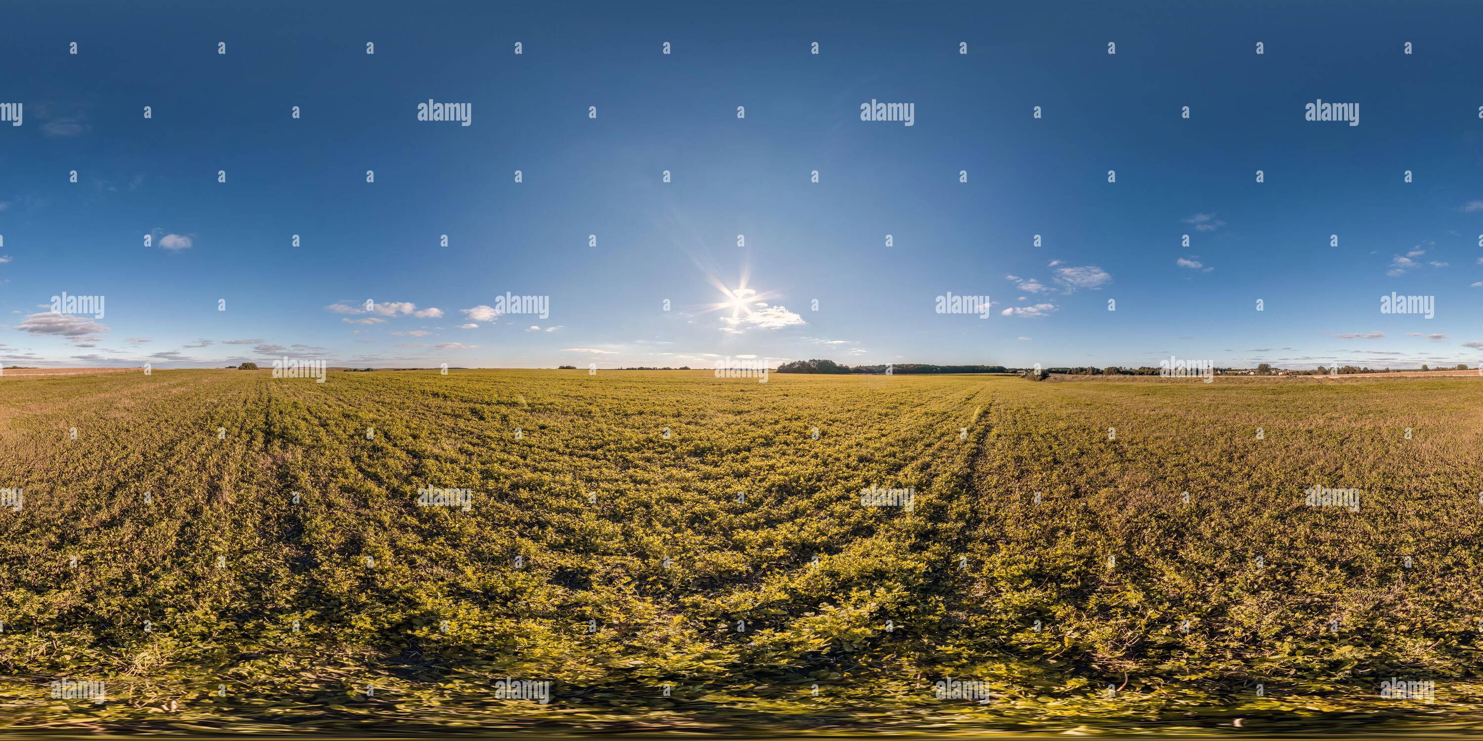 Vue panoramique à 360° de Panorama hdri du soir 360 vue parmi les champs d'élevage avec nuages de coucher de soleil en projection sphérique équirectangulaire, prêt pour VR AR réalité virtuelle conten