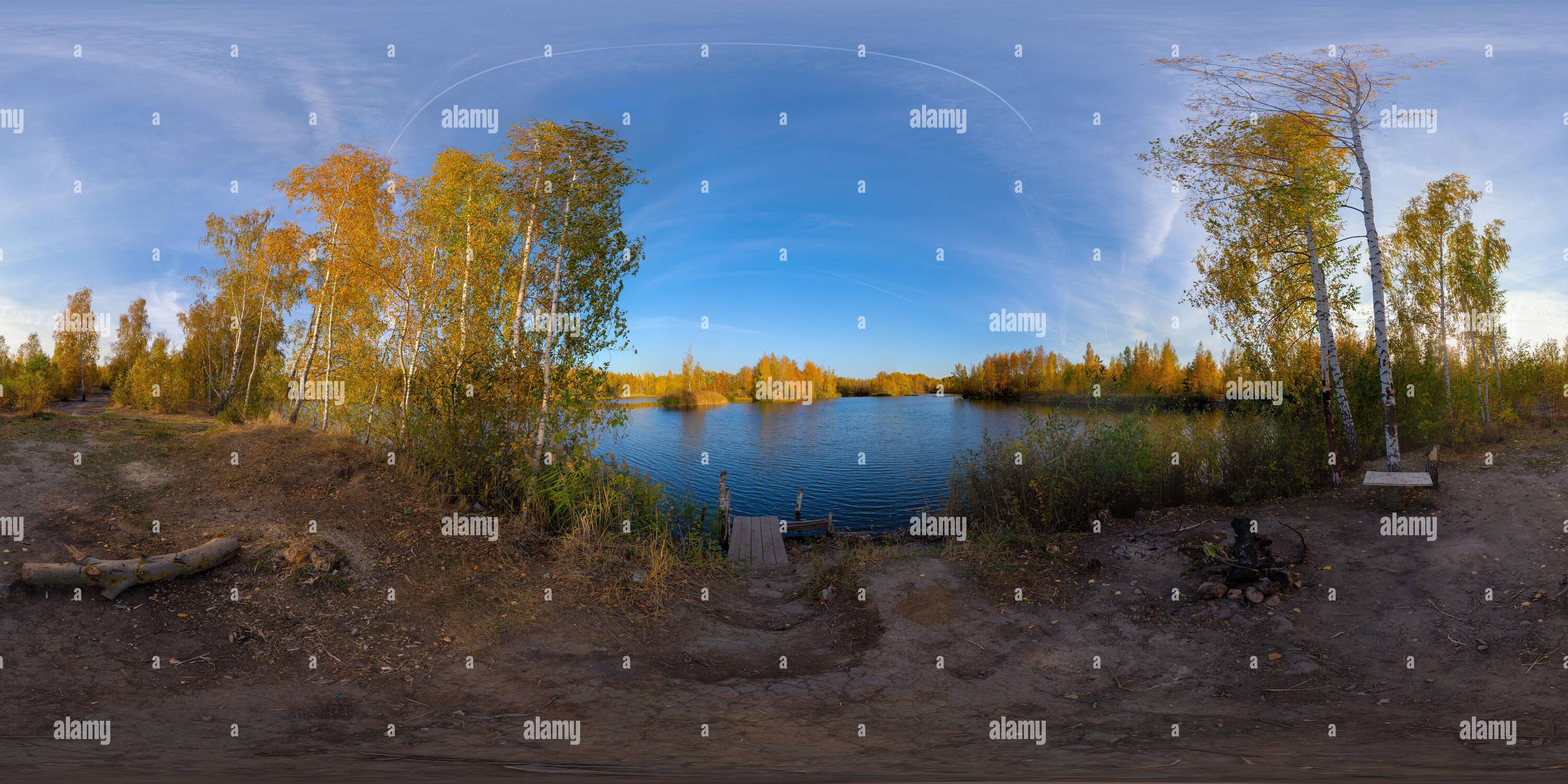 Vue panoramique à 360° de panorama sphérique complet sans couture de 360 par 180 degrés d'un lac automnal en soirée avec forêt de bouleau sur ses rives en projection équirectangulaire.