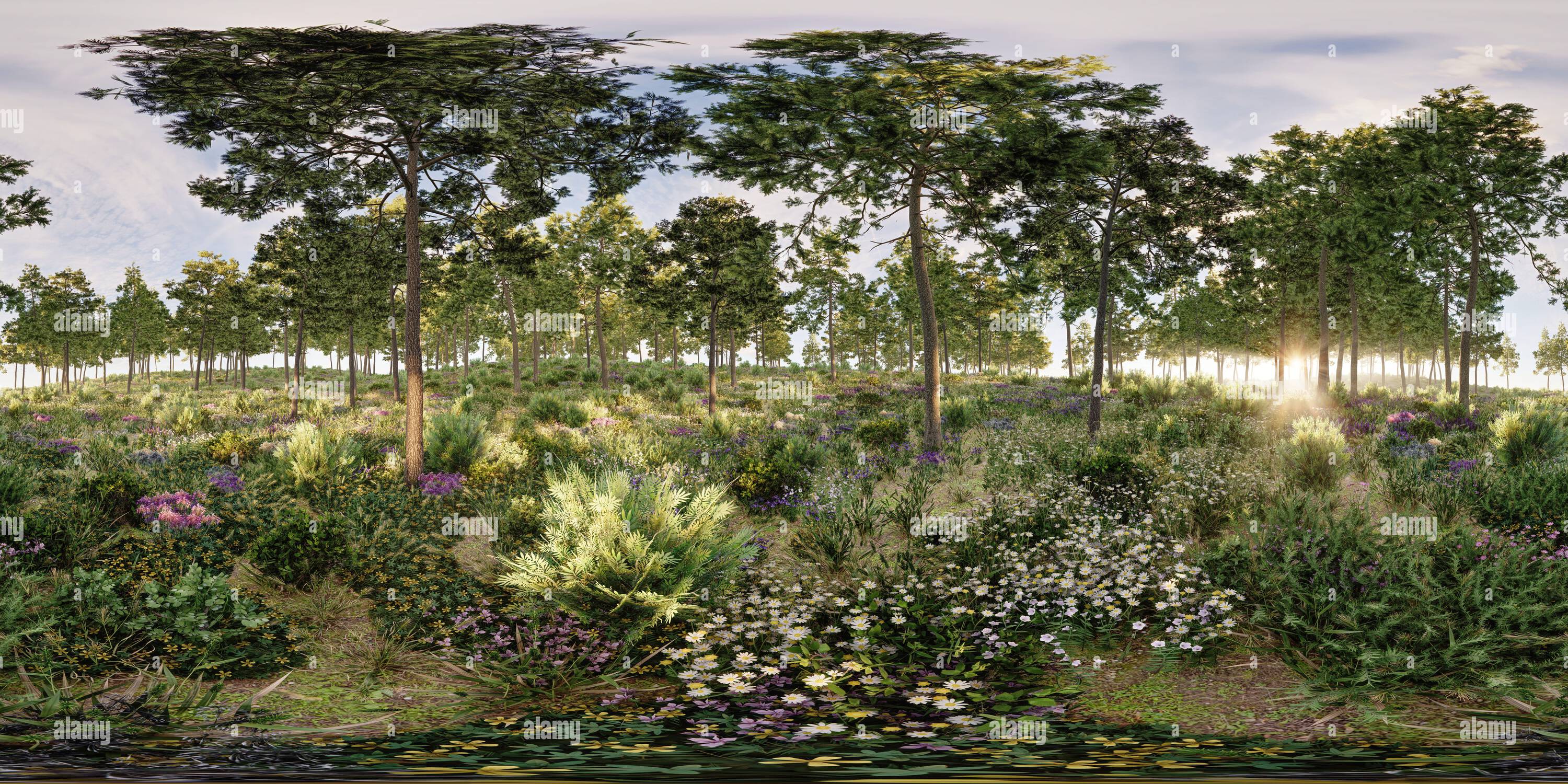 Vue panoramique à 360° de une forêt avec des fleurs sous-poussent au coucher du soleil, image panoramique équirectangulaire à 360°, rendu réaliste 3d