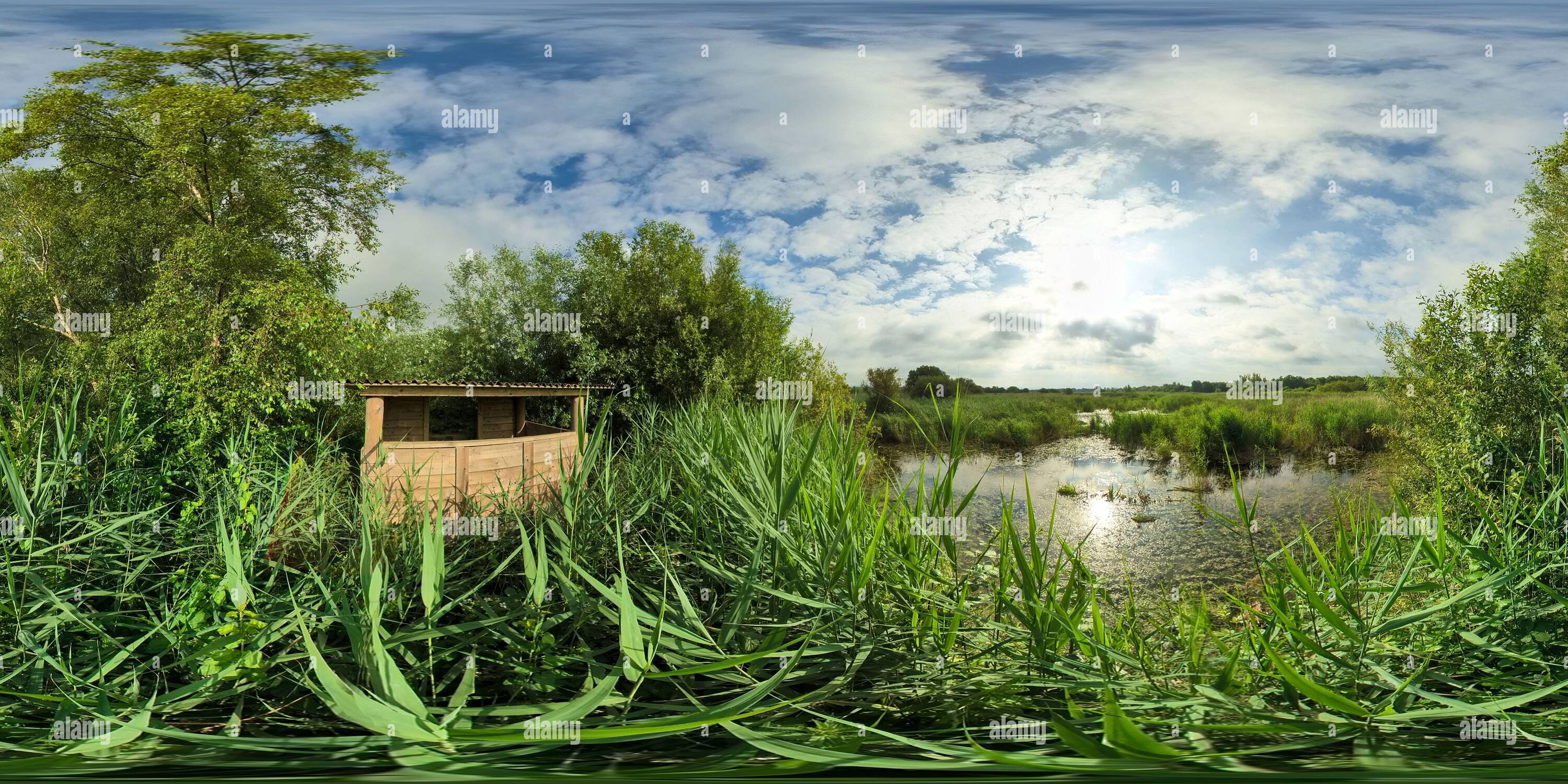 Vue panoramique à 360° de Au-dessus des roseaux à l'extérieur de 30 Acre Hide dans la réserve naturelle de Westhay Moor
