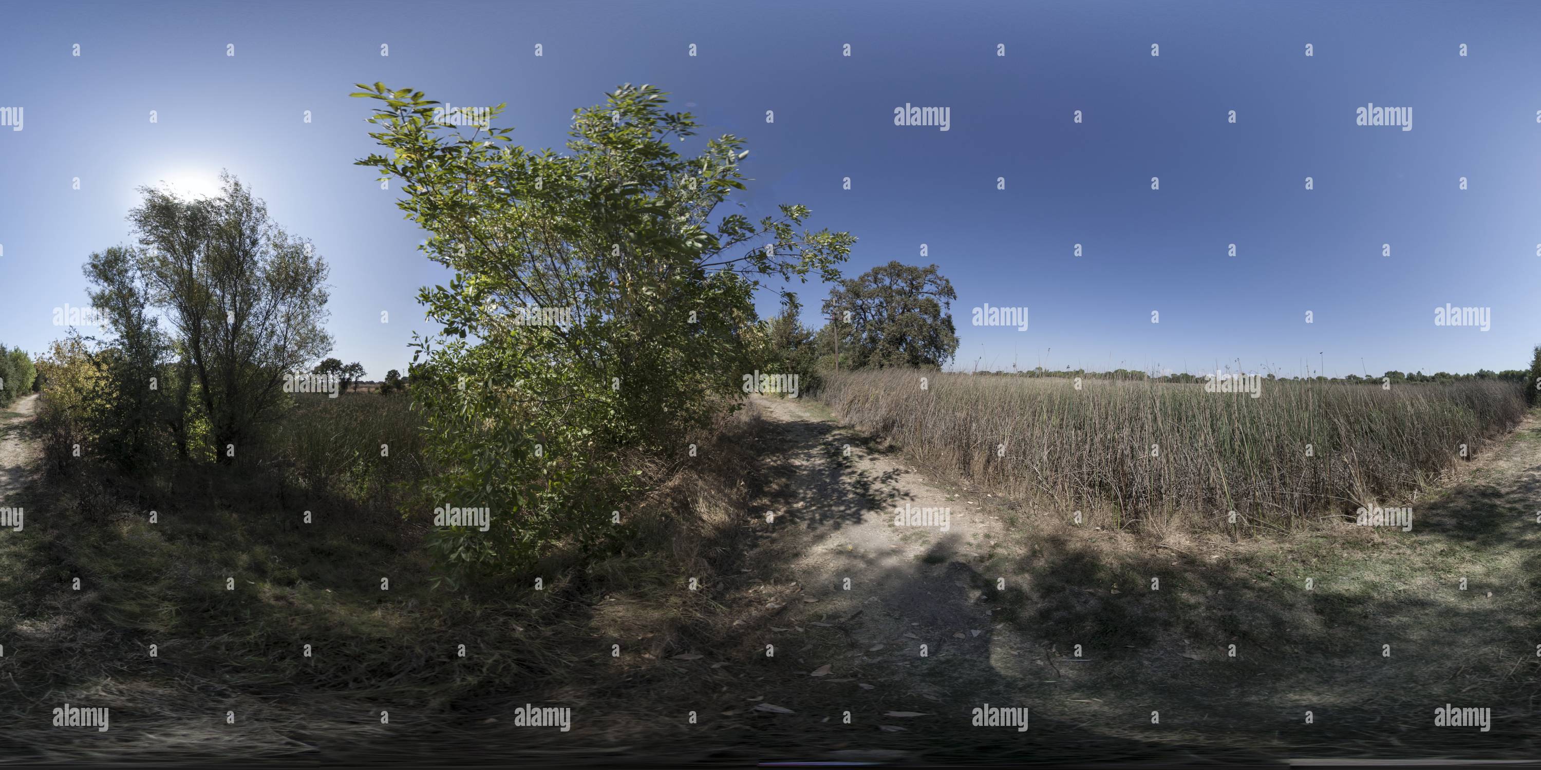 Vue panoramique à 360° de Cosumnes River Preserve