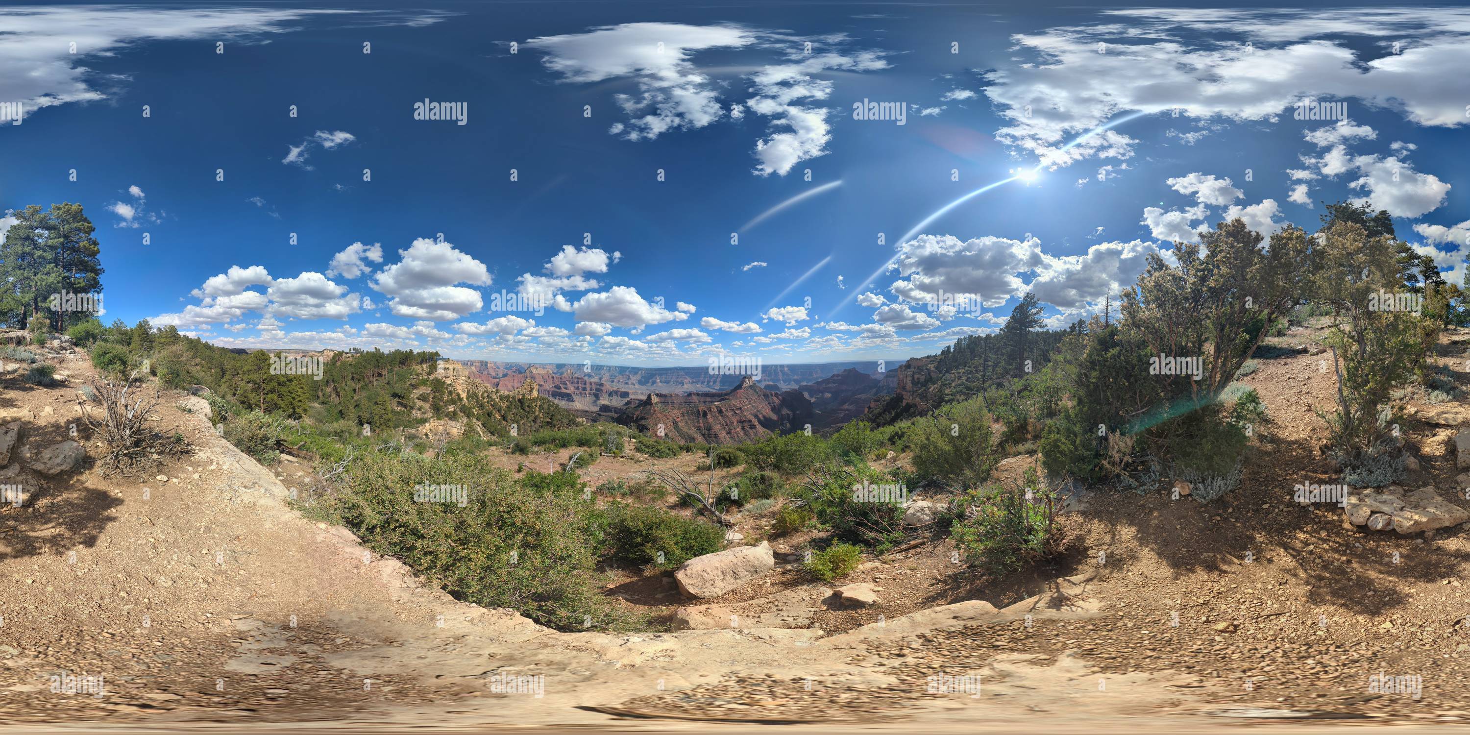 Vue panoramique à 360° de Plateau nord du Grand Canyon - Widforss point