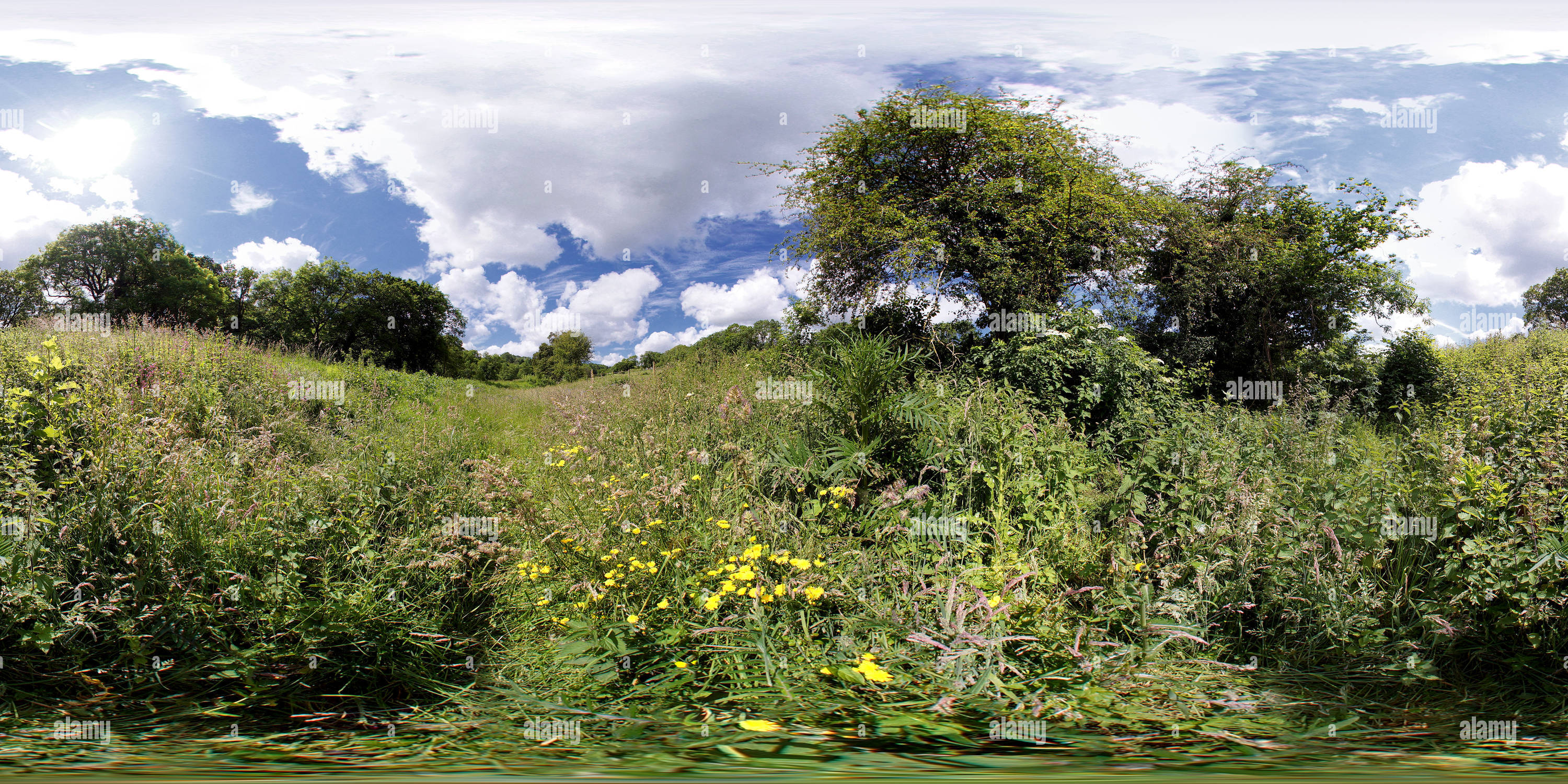 Vue panoramique à 360° de Le Somerset Coal Canal. VR