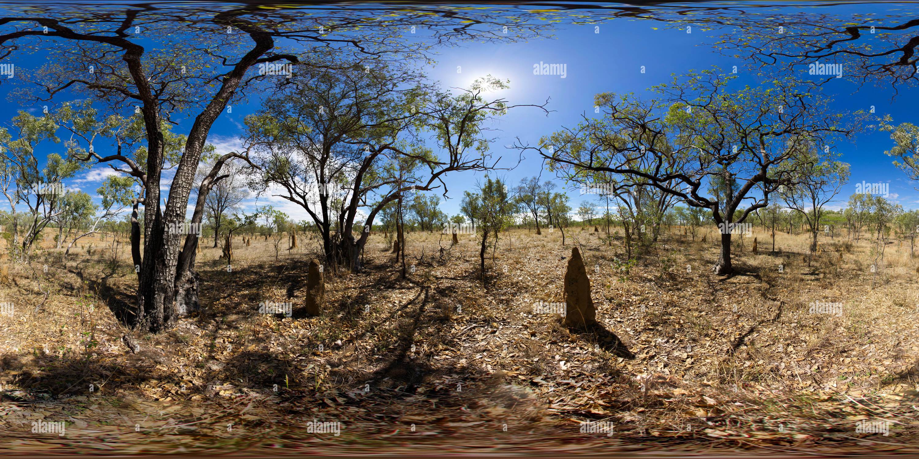 Vue panoramique à 360° de Termitières trouvées partout dans les terres de savane dans le nord du Queensland. Ceux-ci sont près de Forsayth Northern Gold Fields Queensland Australie