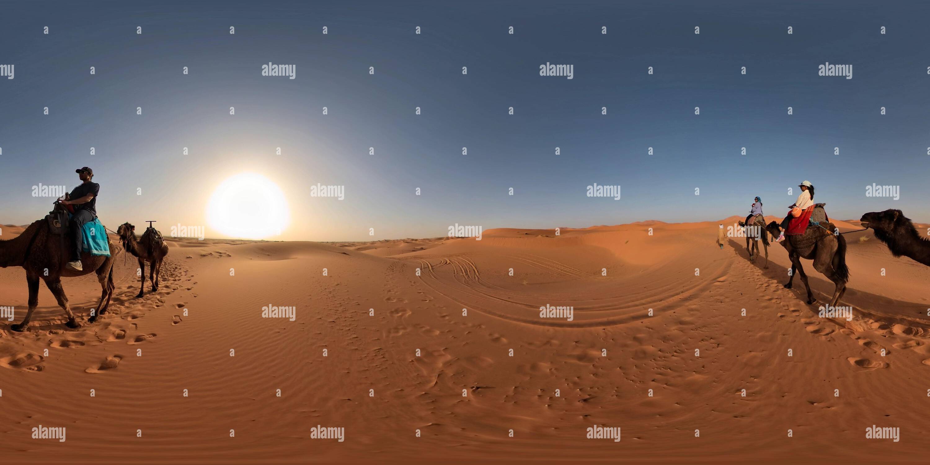 Vue panoramique à 360° de Une famille profite d'une balade à dos de chameau dans le désert marocain au coucher du soleil, capturée à 360 degrés pour révéler le sable doré et la lumière calme du soir