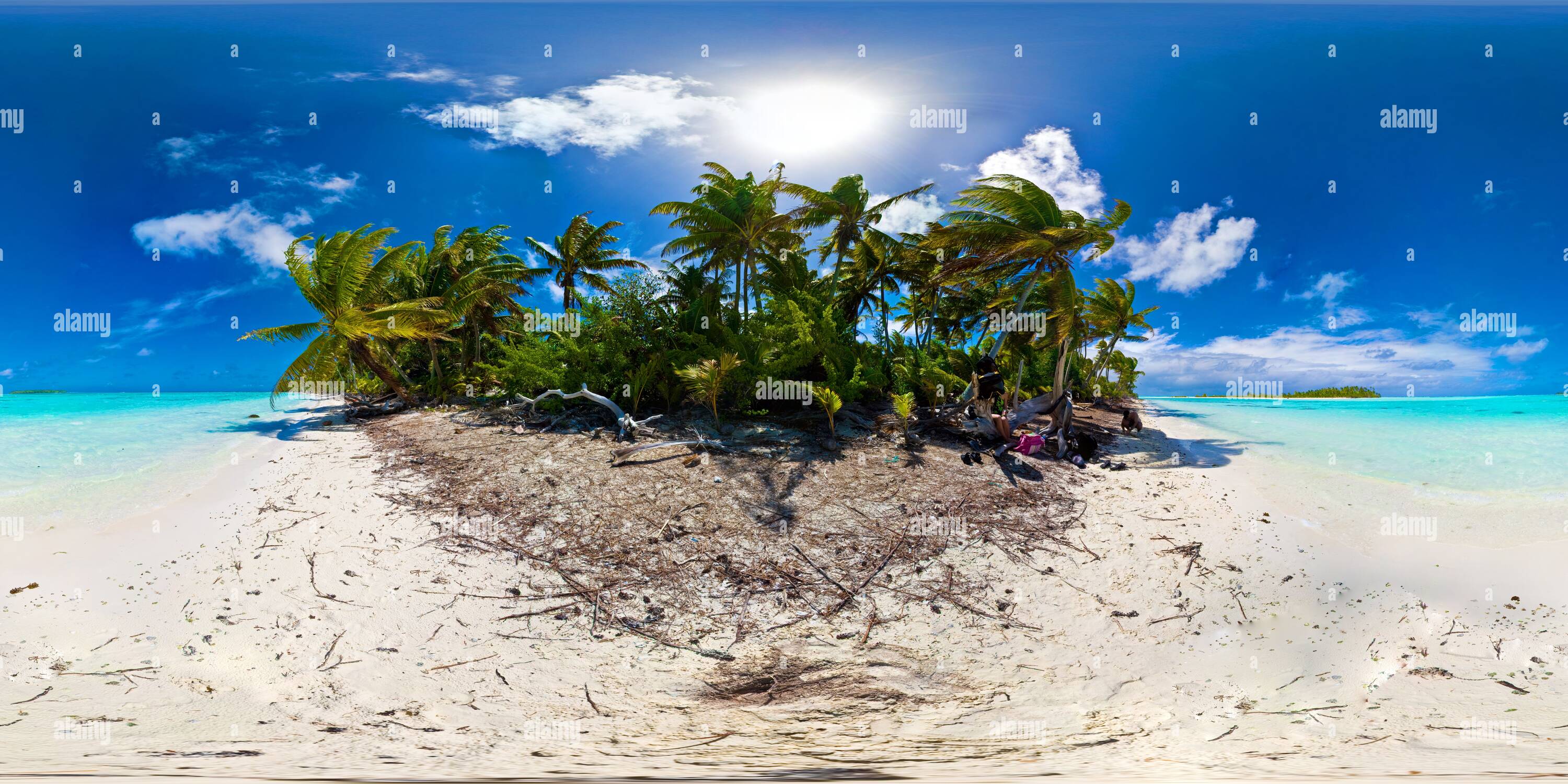 Vue panoramique à 360° de L'île aux oiseaux