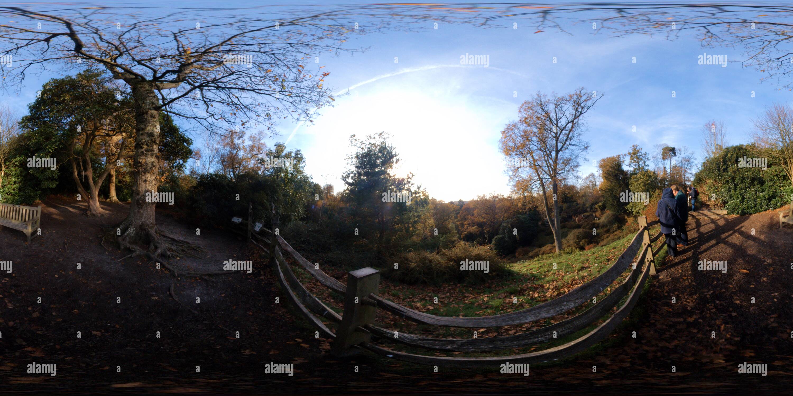 Vue panoramique à 360° de Wakehurst - jardin de l'himalaya