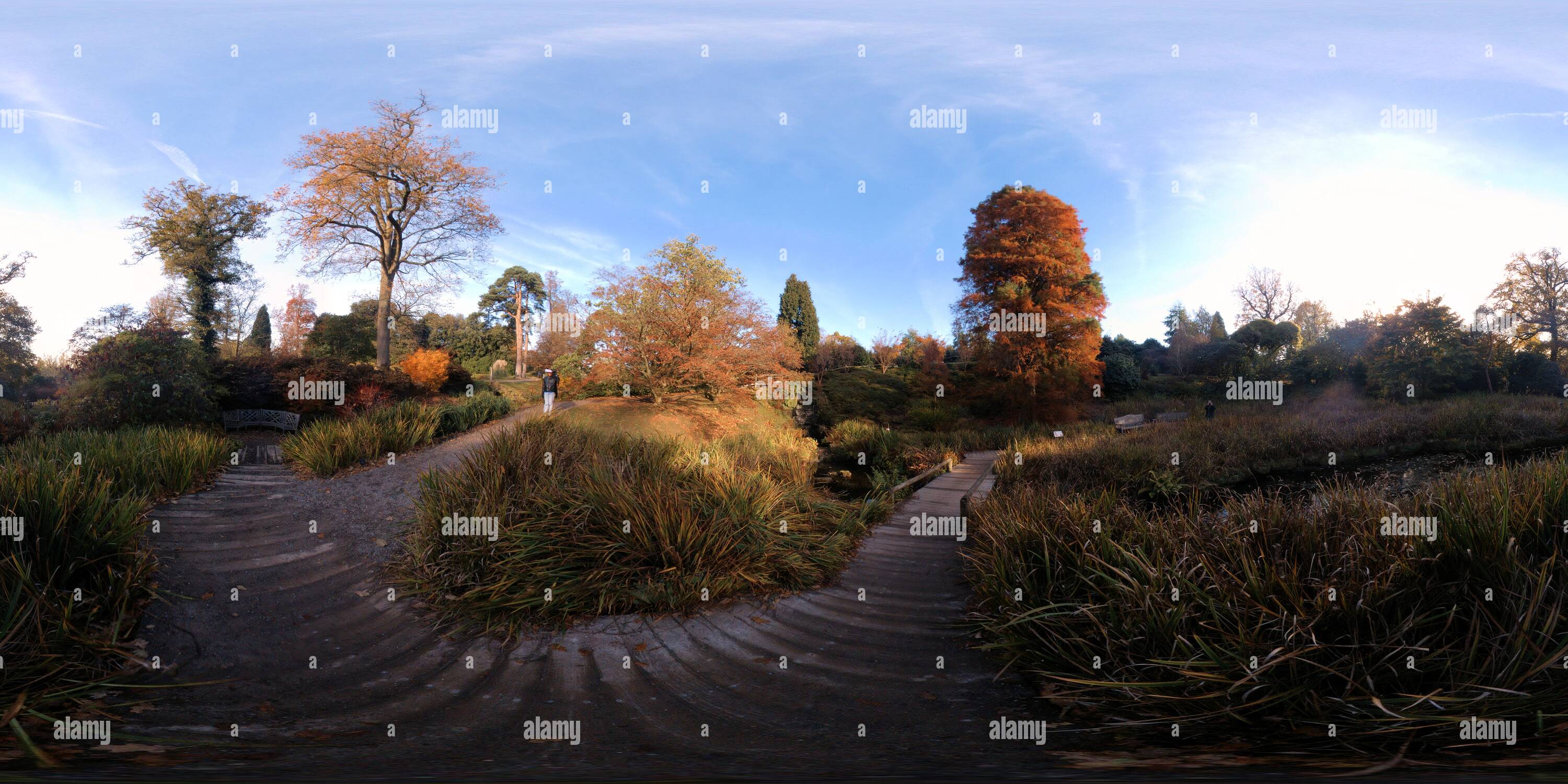 Vue panoramique à 360° de Wakehurst Place - Jardin d'Iris japonais
