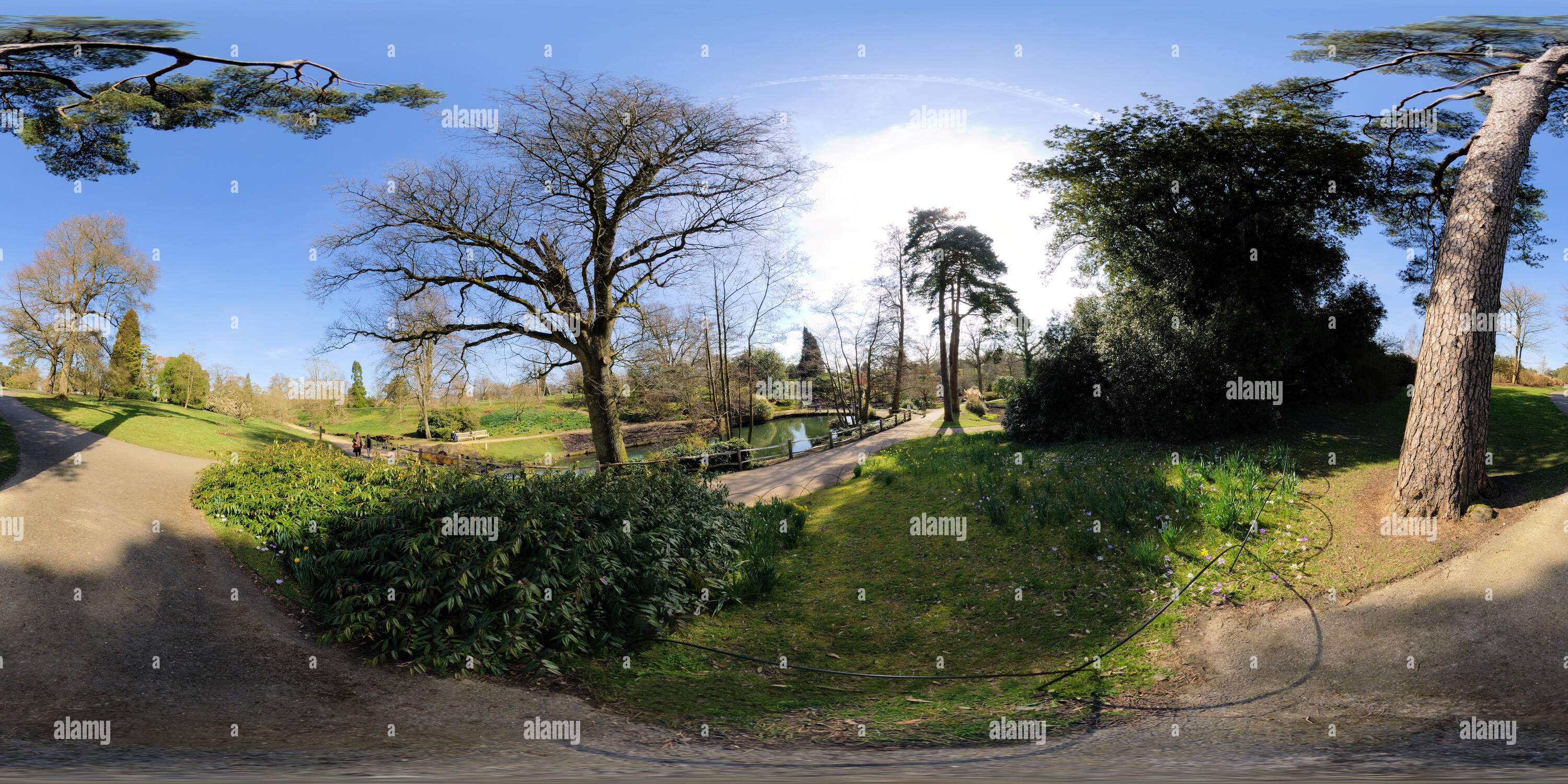 Vue panoramique à 360° de L'eau Wakehurst Place Gardens