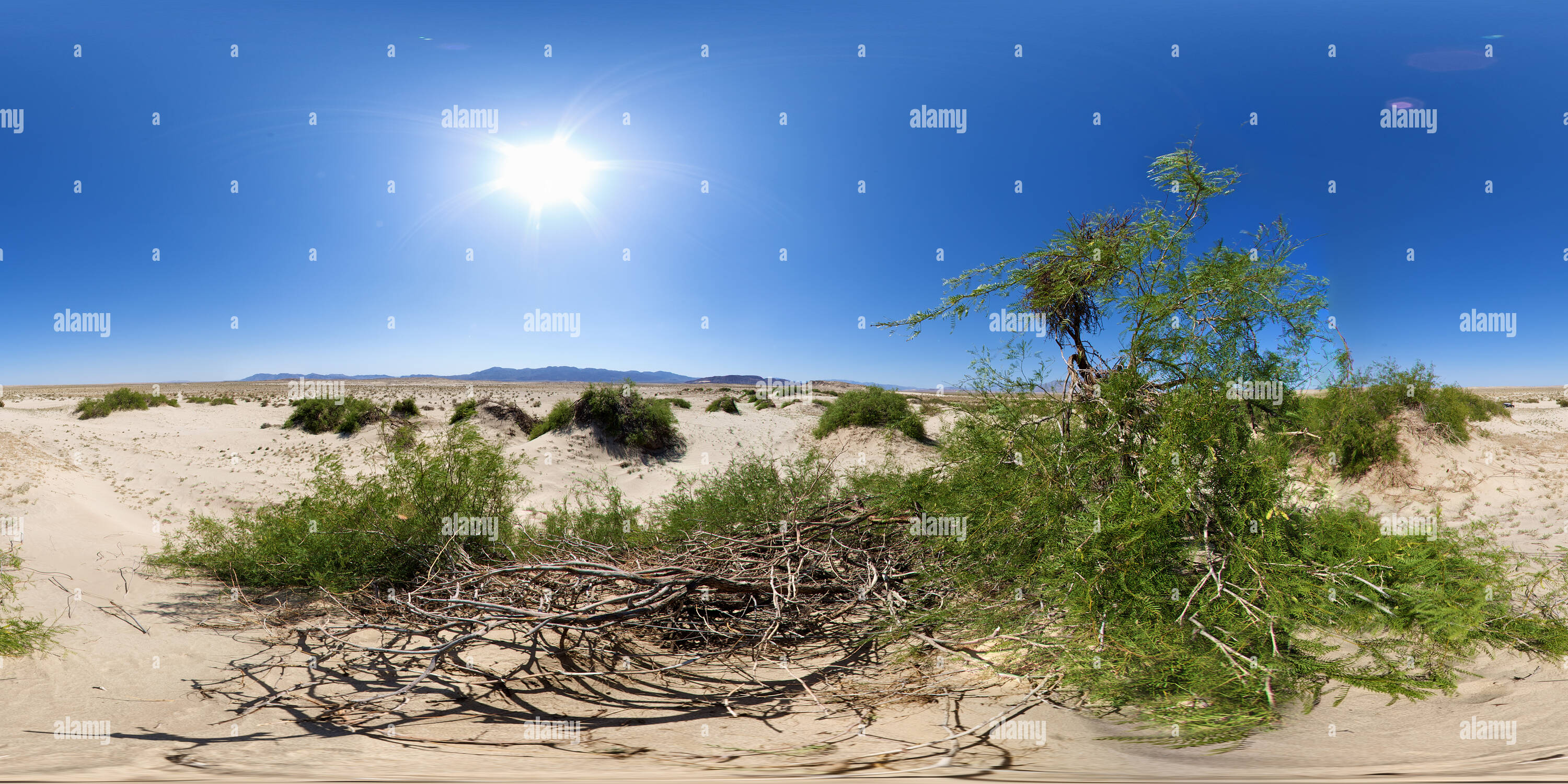 Vue panoramique à 360° de D'Ocotillo Wells dunes de sable du désert CONSTRUITE PAR