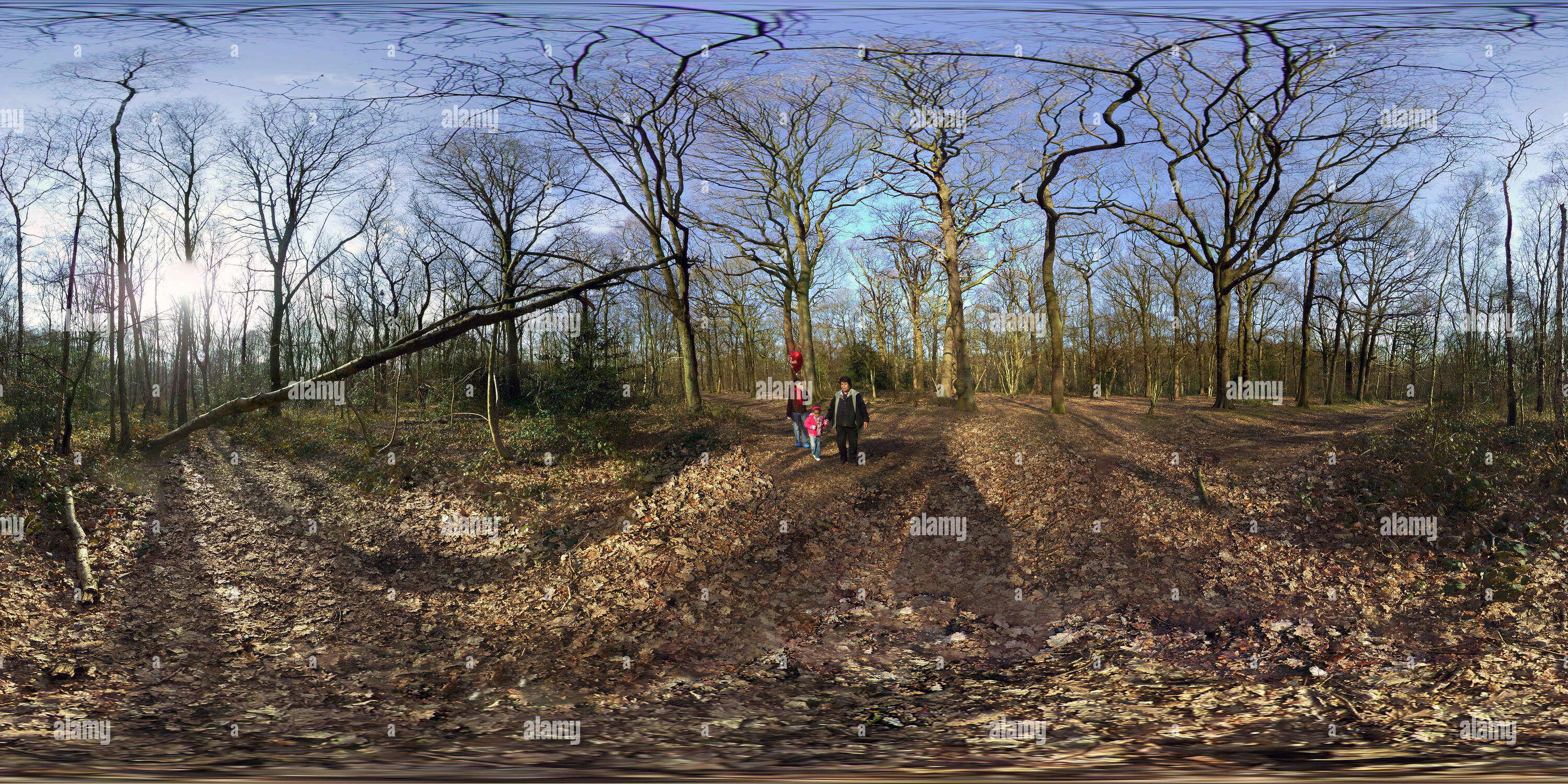 Vue panoramique à 360° de Sherrardspark Woods