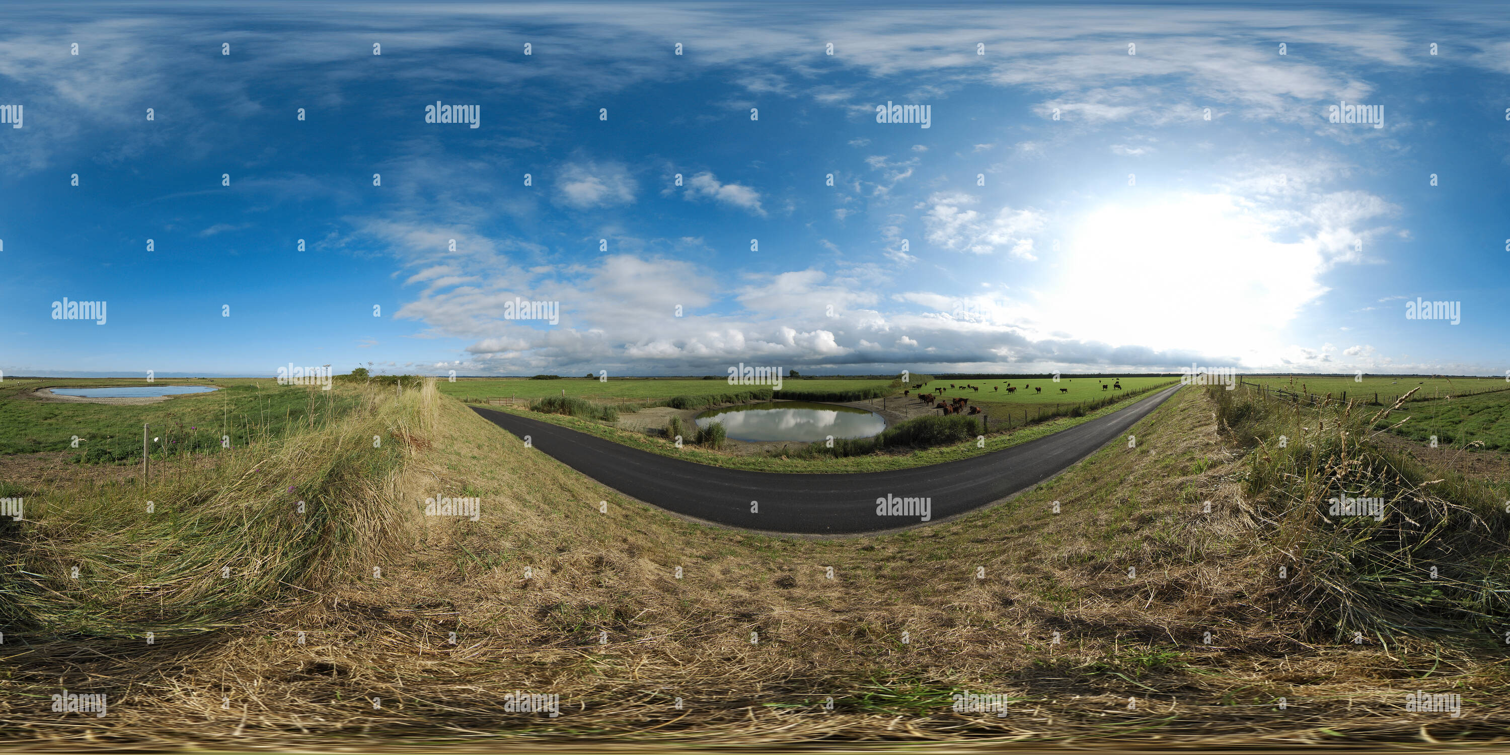 Vue panoramique à 360° de Miroir d'eau dans le marais de Brévands - France