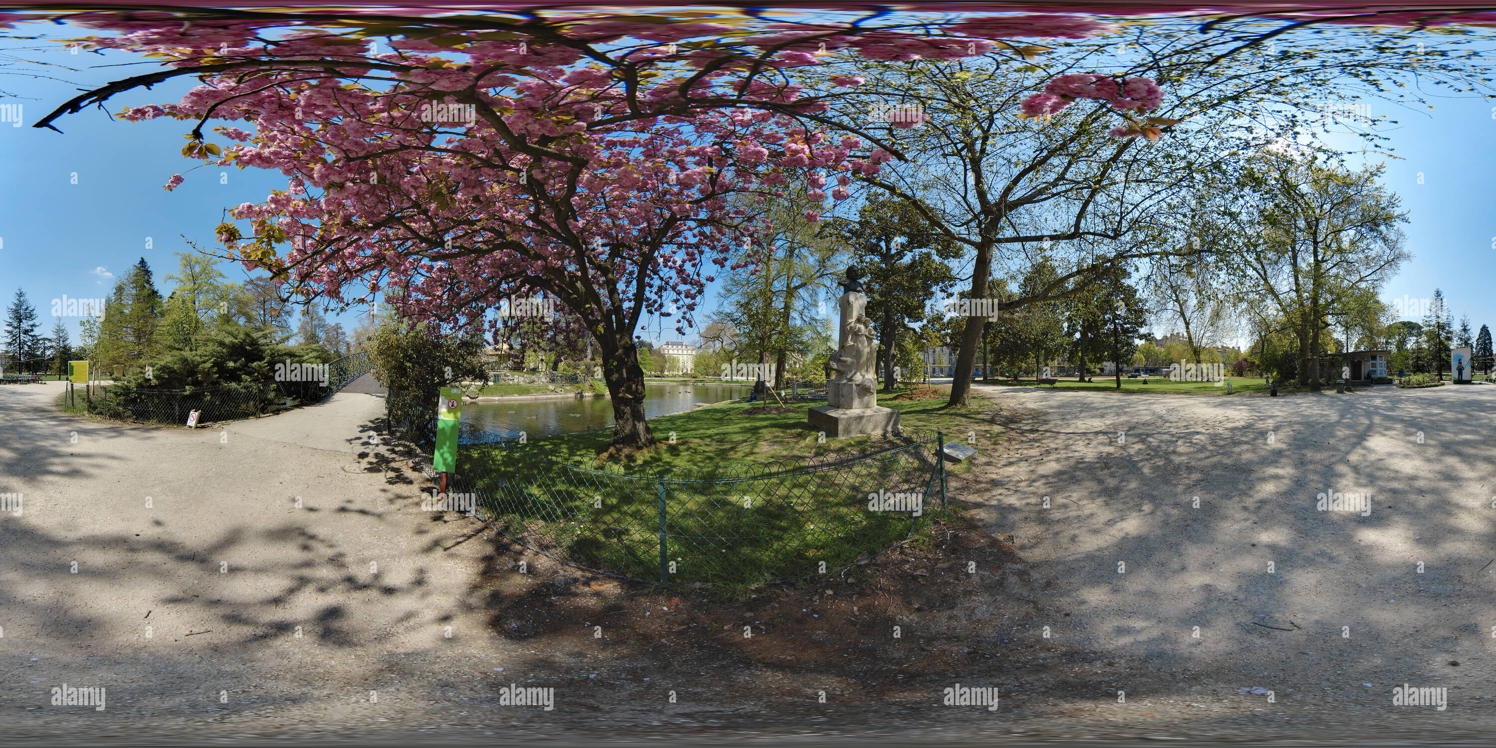 Vue panoramique à 360° de Arbre en fleur au jardin public de Bordeaux - France