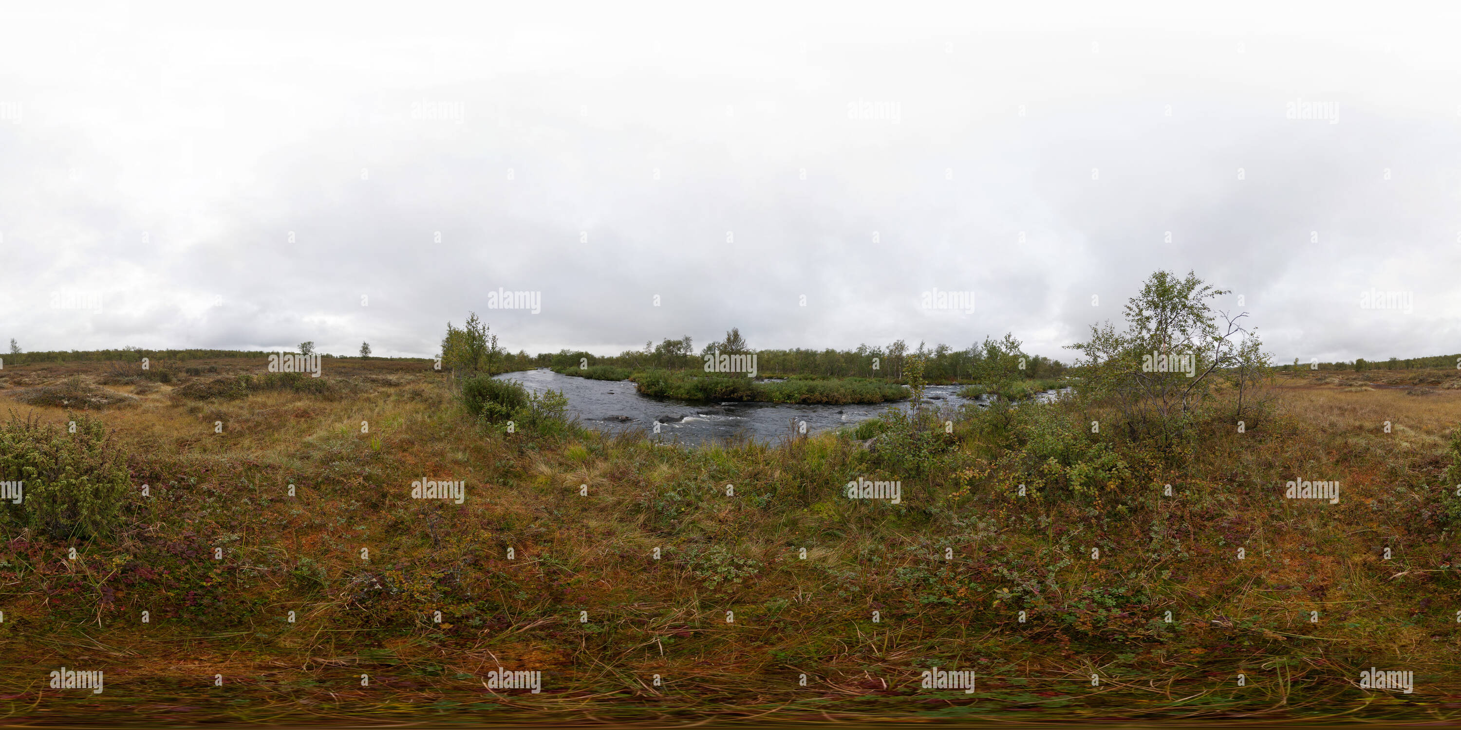 Vue panoramique à 360° de Près de la rivière Teriberka