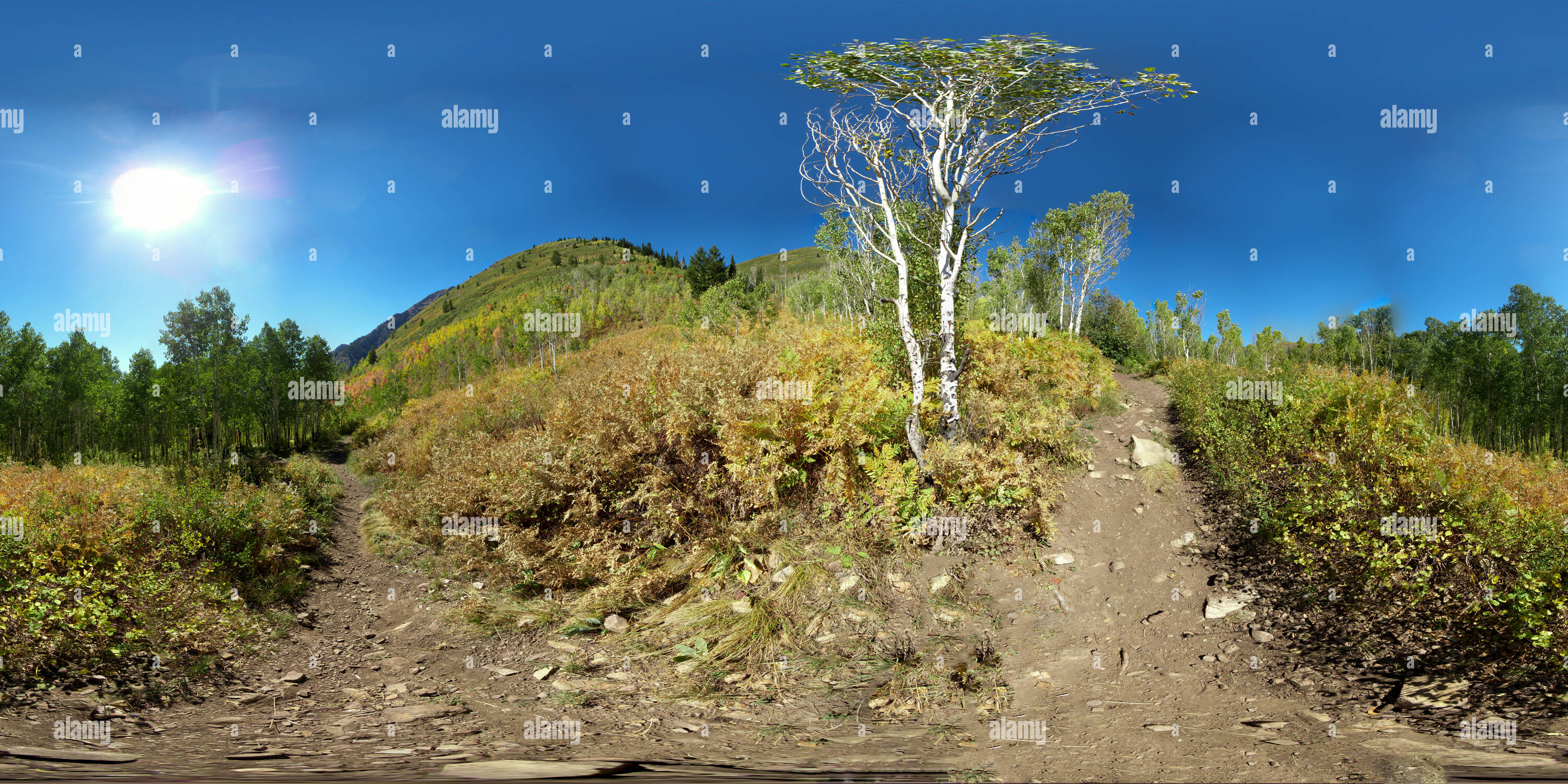 Vue panoramique à 360° de Boucle alpine à l'automne Vue panoramique à 360° de Boucle alpine à l'automne