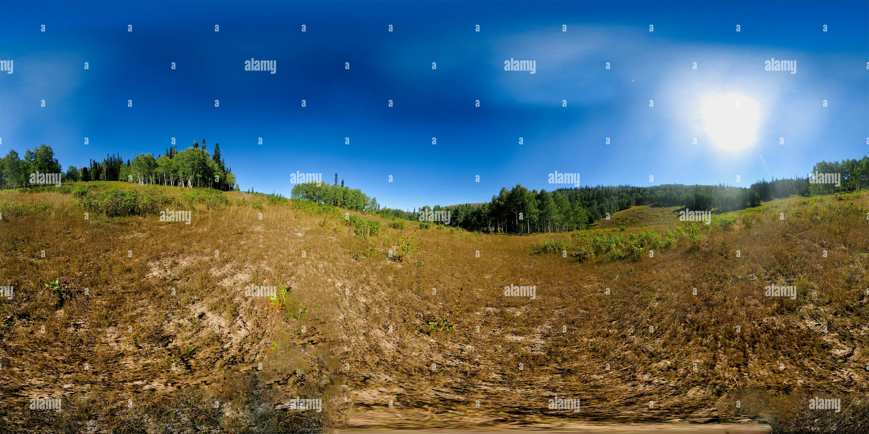 Vue panoramique à 360° de Grove près de Vincents Cabin Vue panoramique à 360° de Grove près de Vincents Cabin