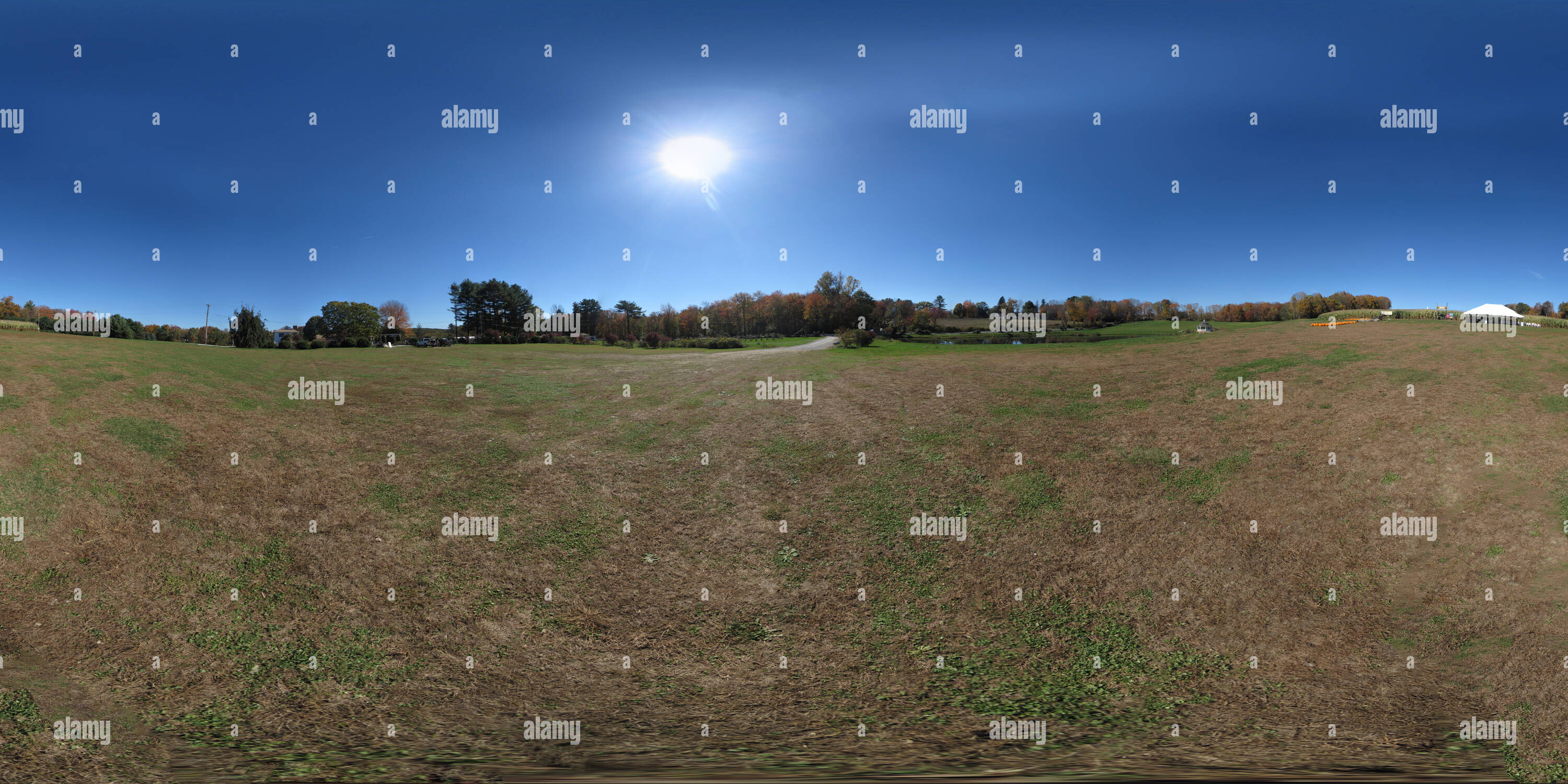 Vue panoramique à 360° de Labyrinthe de maïs près de Thompson, TC Vue panoramique à 360° de Labyrinthe de maïs près de Thompson, TC