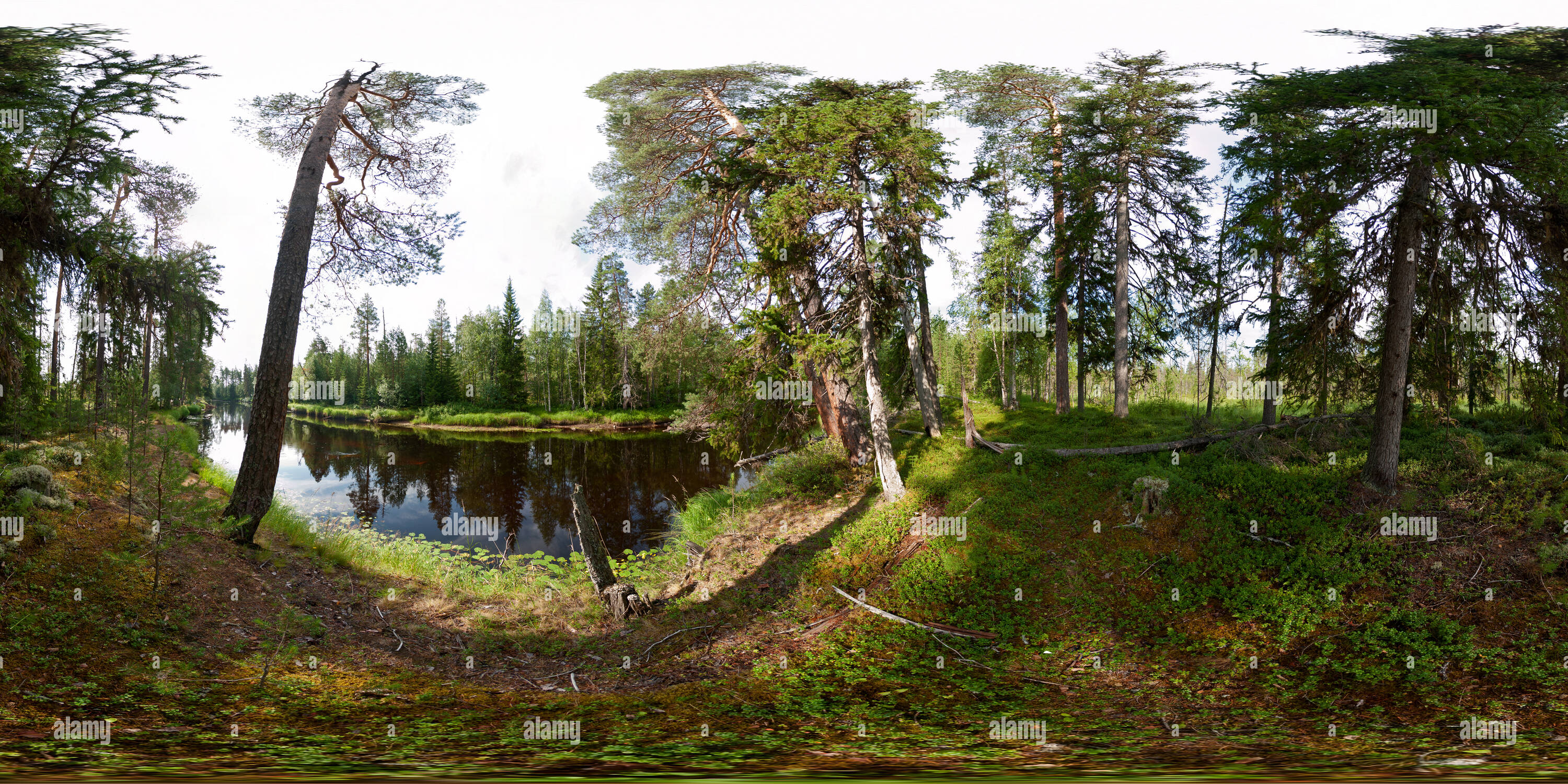 Vue panoramique à 360° de Banque de l'Muezerka river, la Carélie, Russie