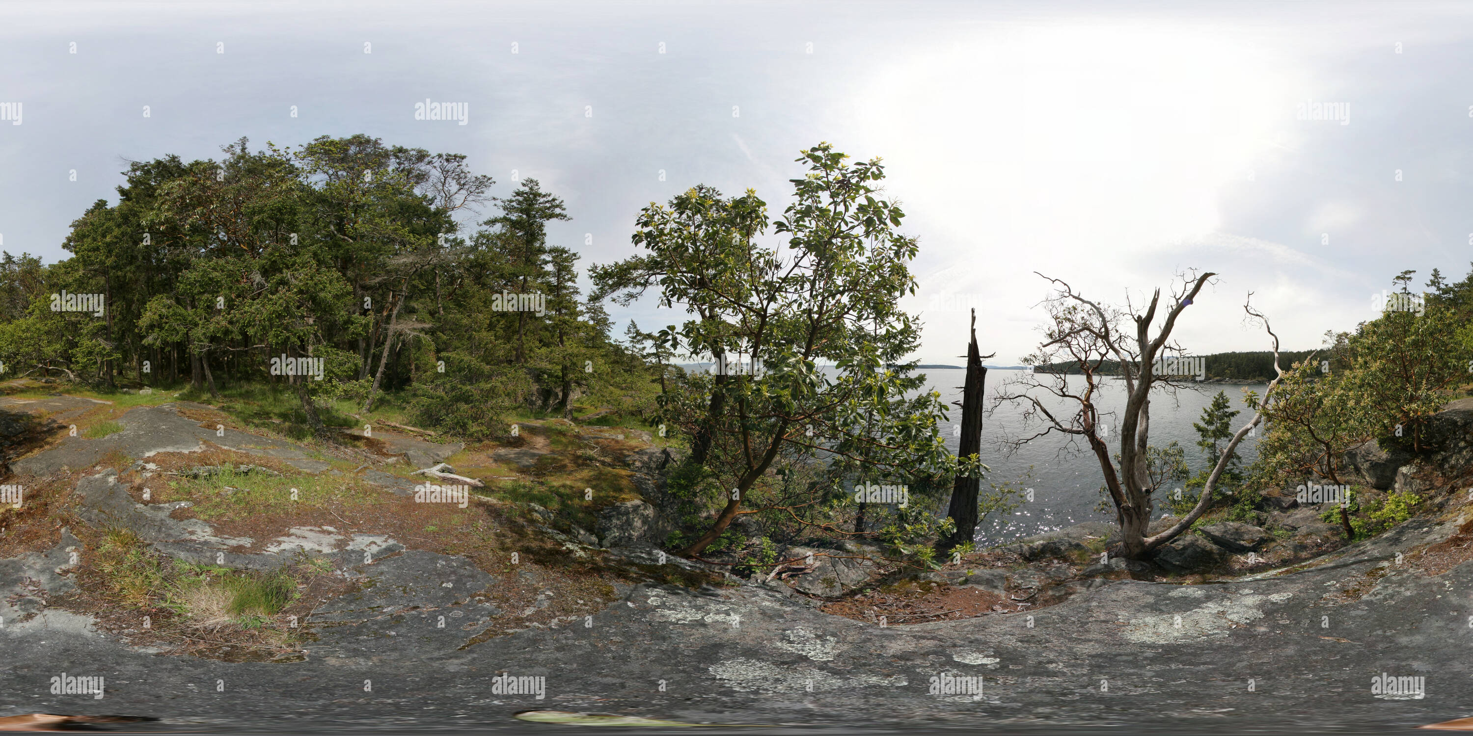 Vue panoramique à 360° de Le sentier de Grandma's Beach, parc Ruckle, Salt Spring Island (C.-B.)