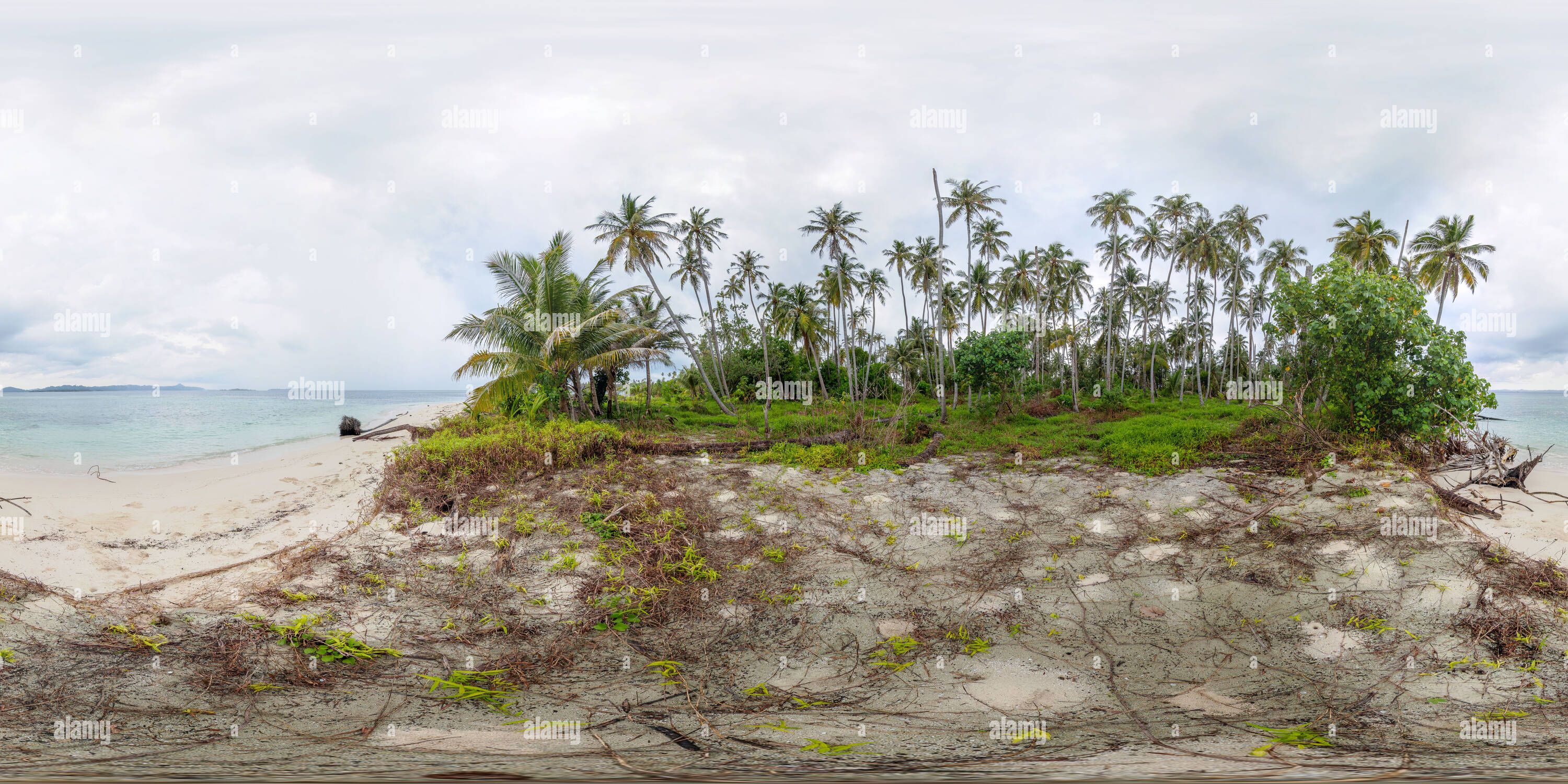 Vue panoramique à 360° de Petite île littoral # 1, Îles Banyak