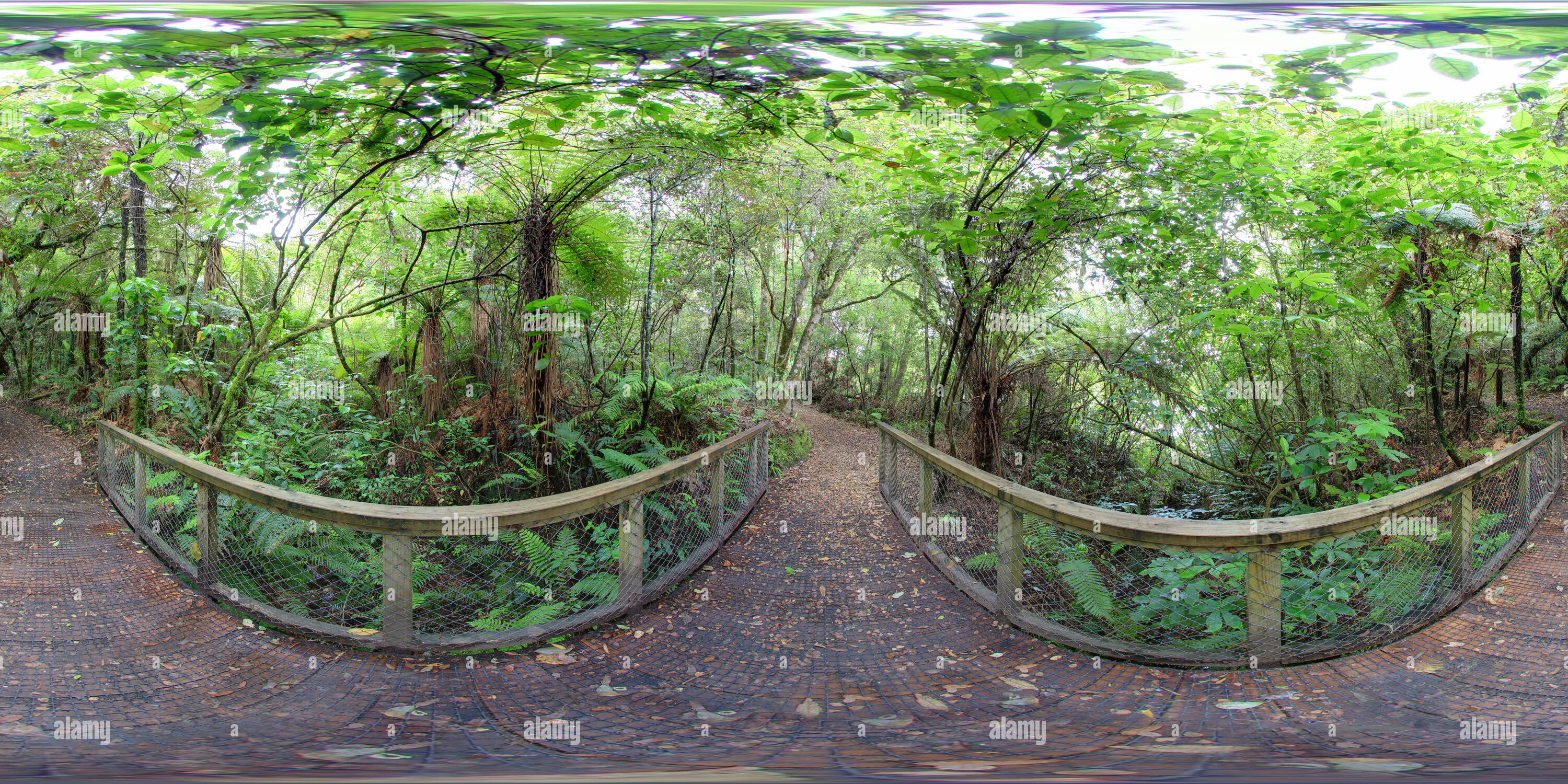 Vue panoramique à 360° de Pont de l'Est Lac Rotopounamu