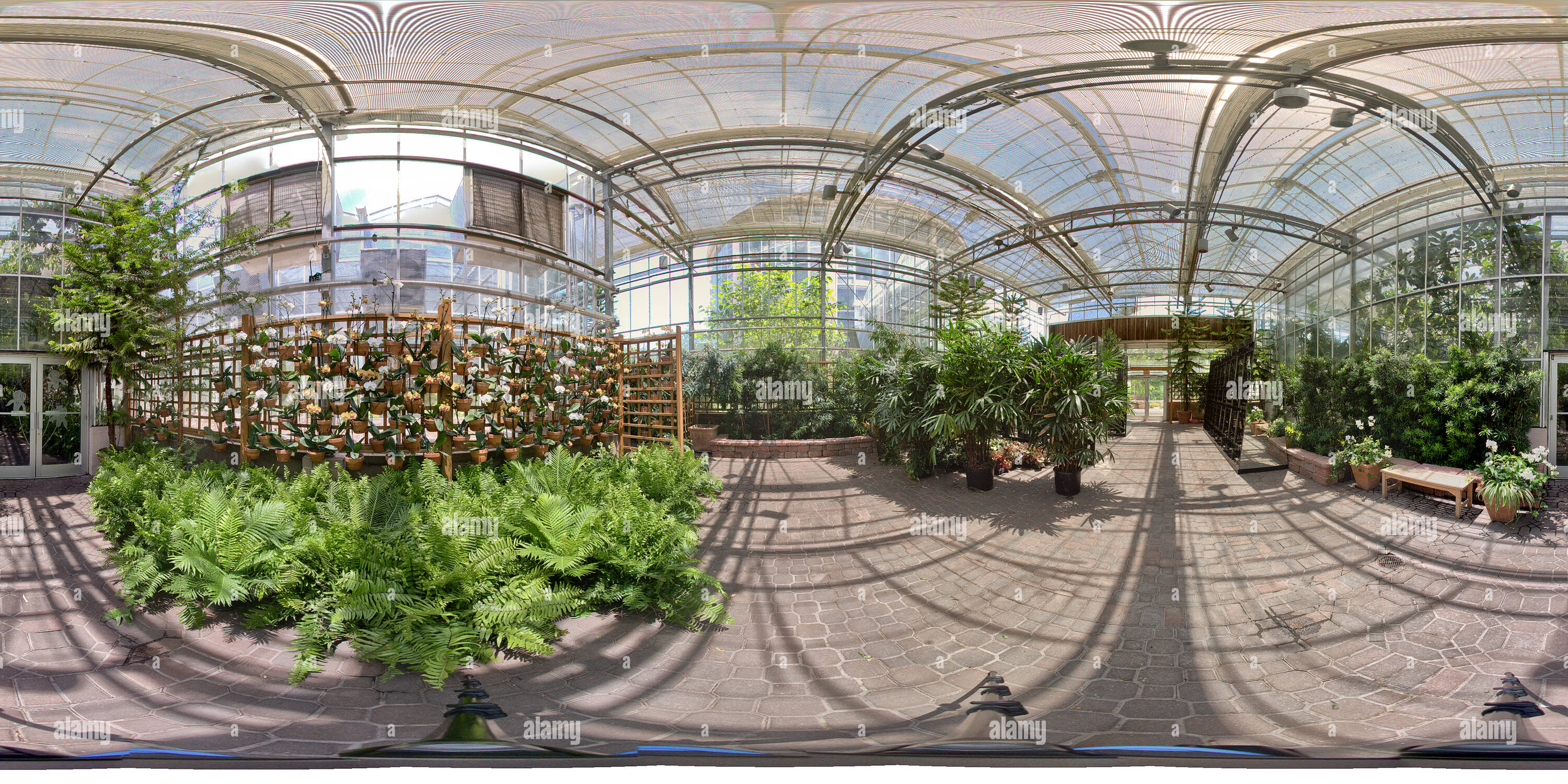 Vue panoramique à 360° de Fuqua conservatoire du Jardin Botanique d'Atlanta