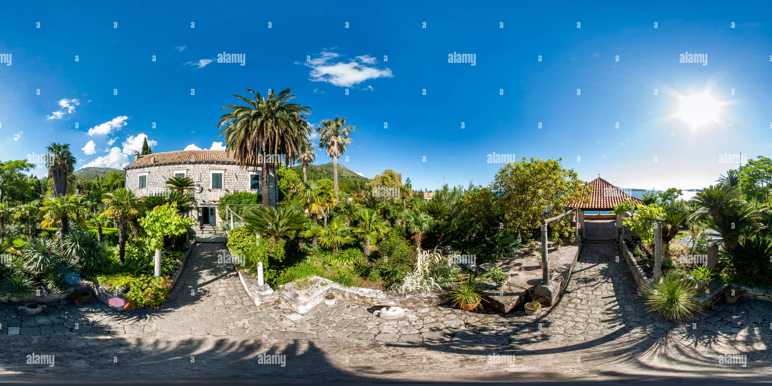 Vue panoramique à 360° de Arboretum arboretum de Trsteno - la plus ancienne au monde - créé 1494.